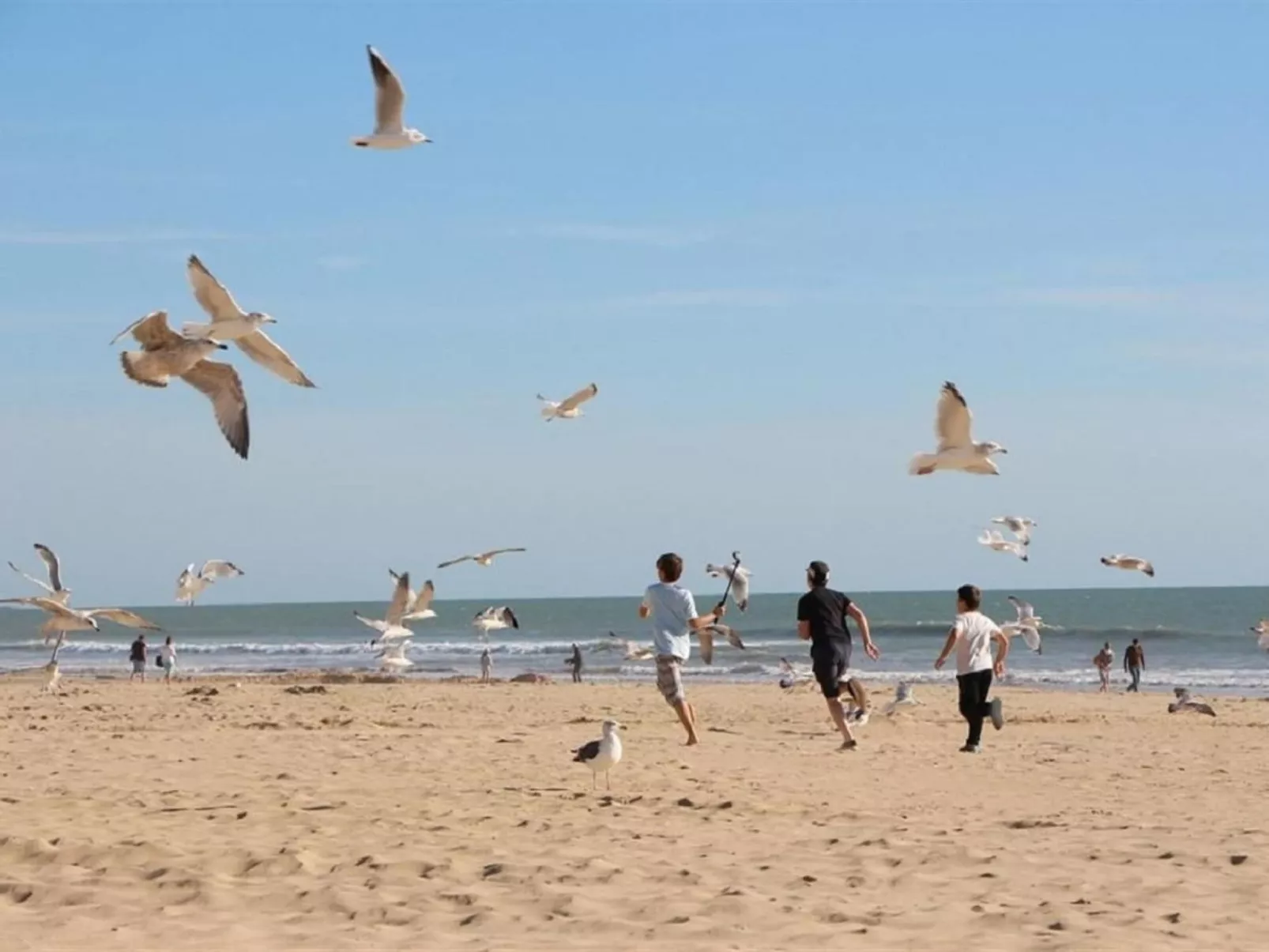 Standort mobiles Haus 3 chambres-Dehors