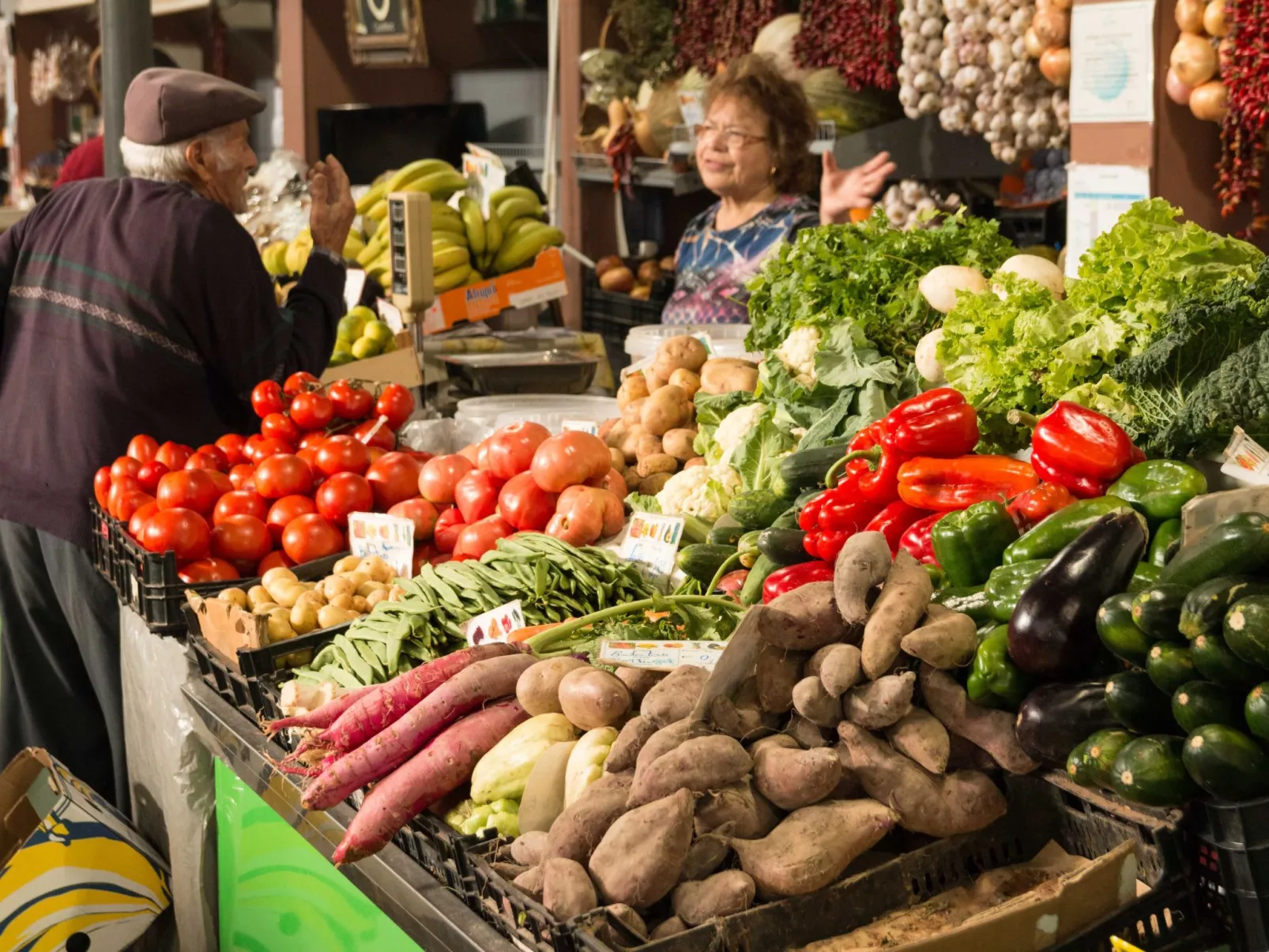 Berghütte "Villa Romao"-Image-tags.info