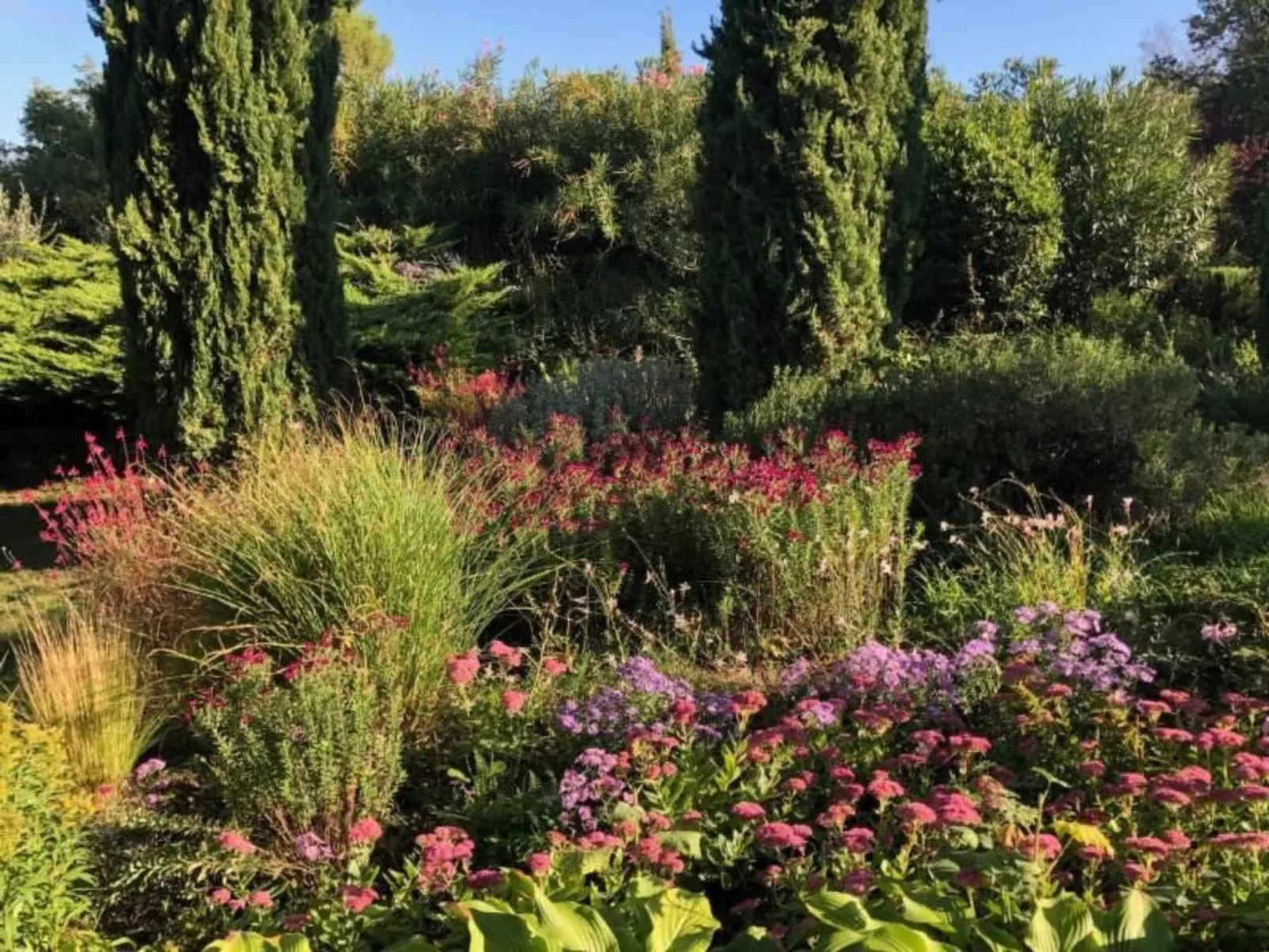 Podere Campolungo - Lo Studio-Outside