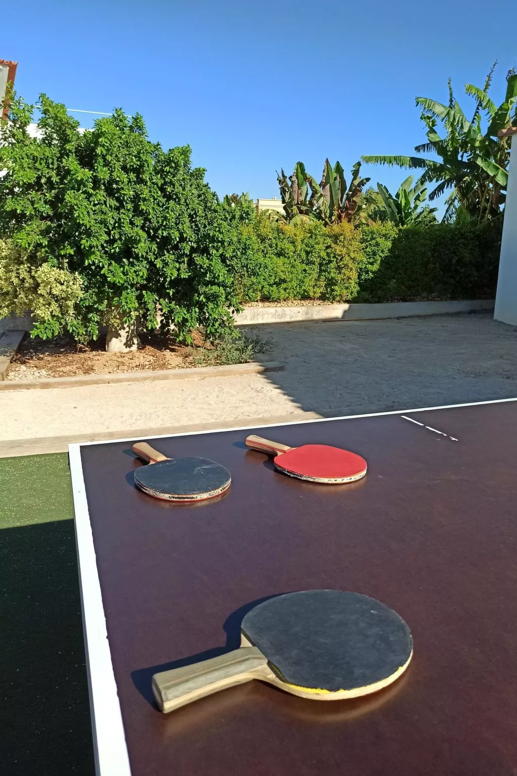 Studio auf dem Lande-Draußen