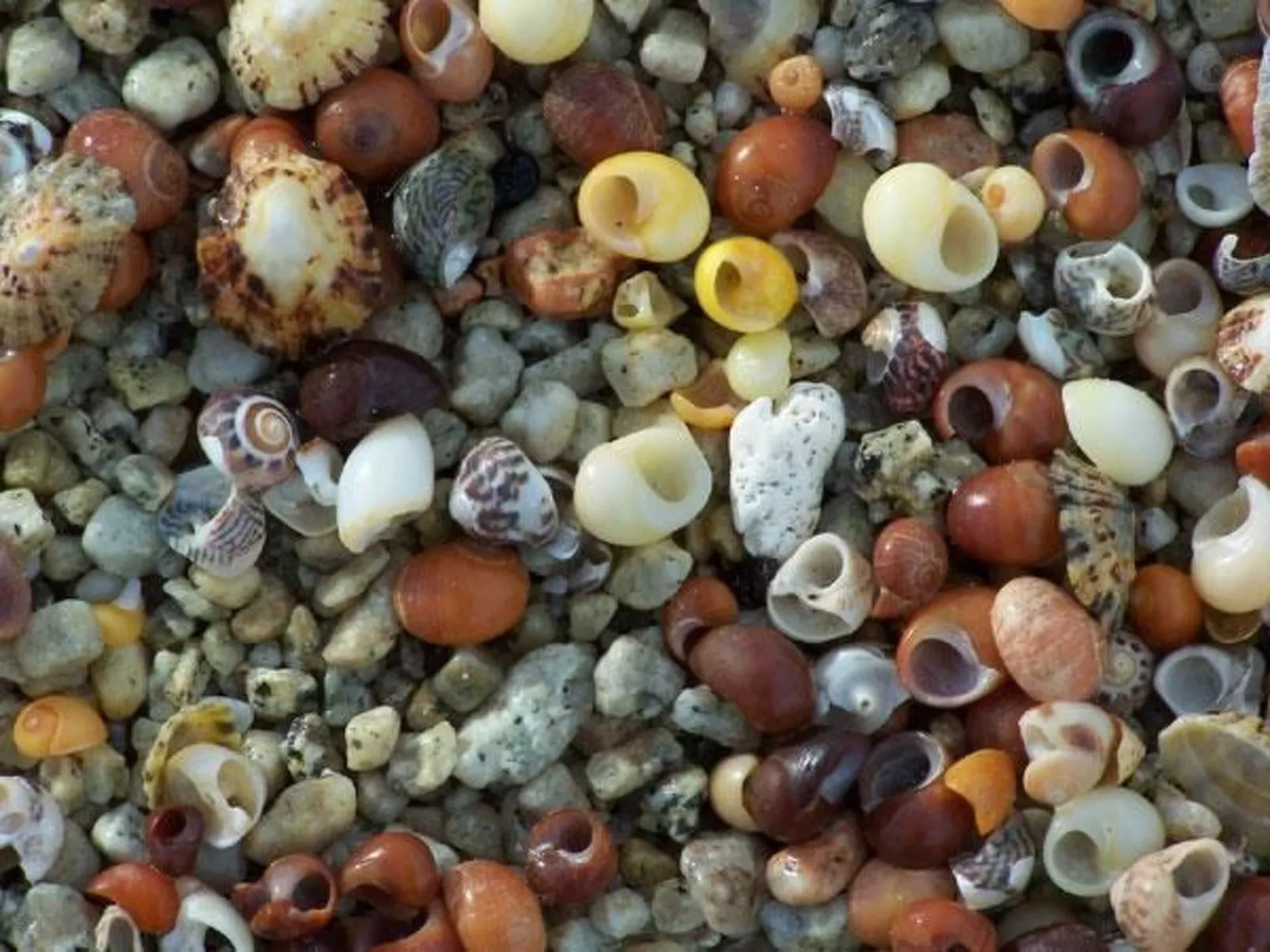 Idyllischer Landsitz mit Meerblick-Image-tags.info