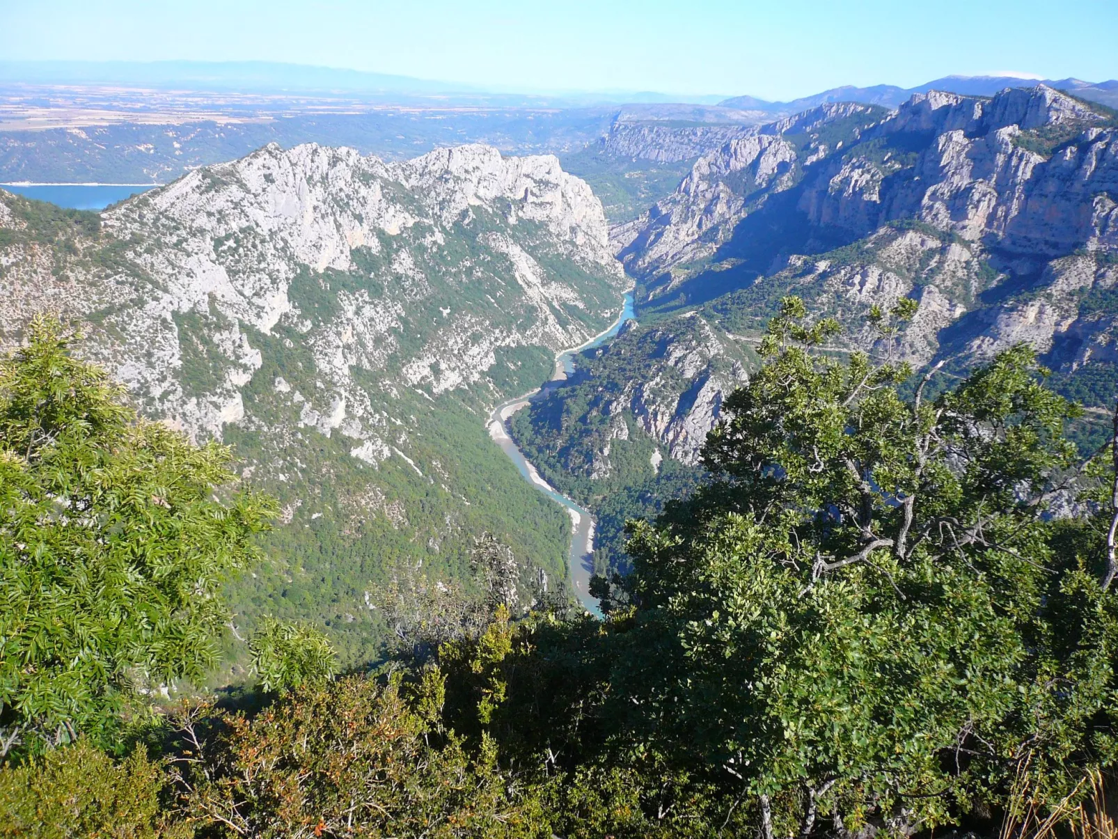 Les amandiers-Dehors