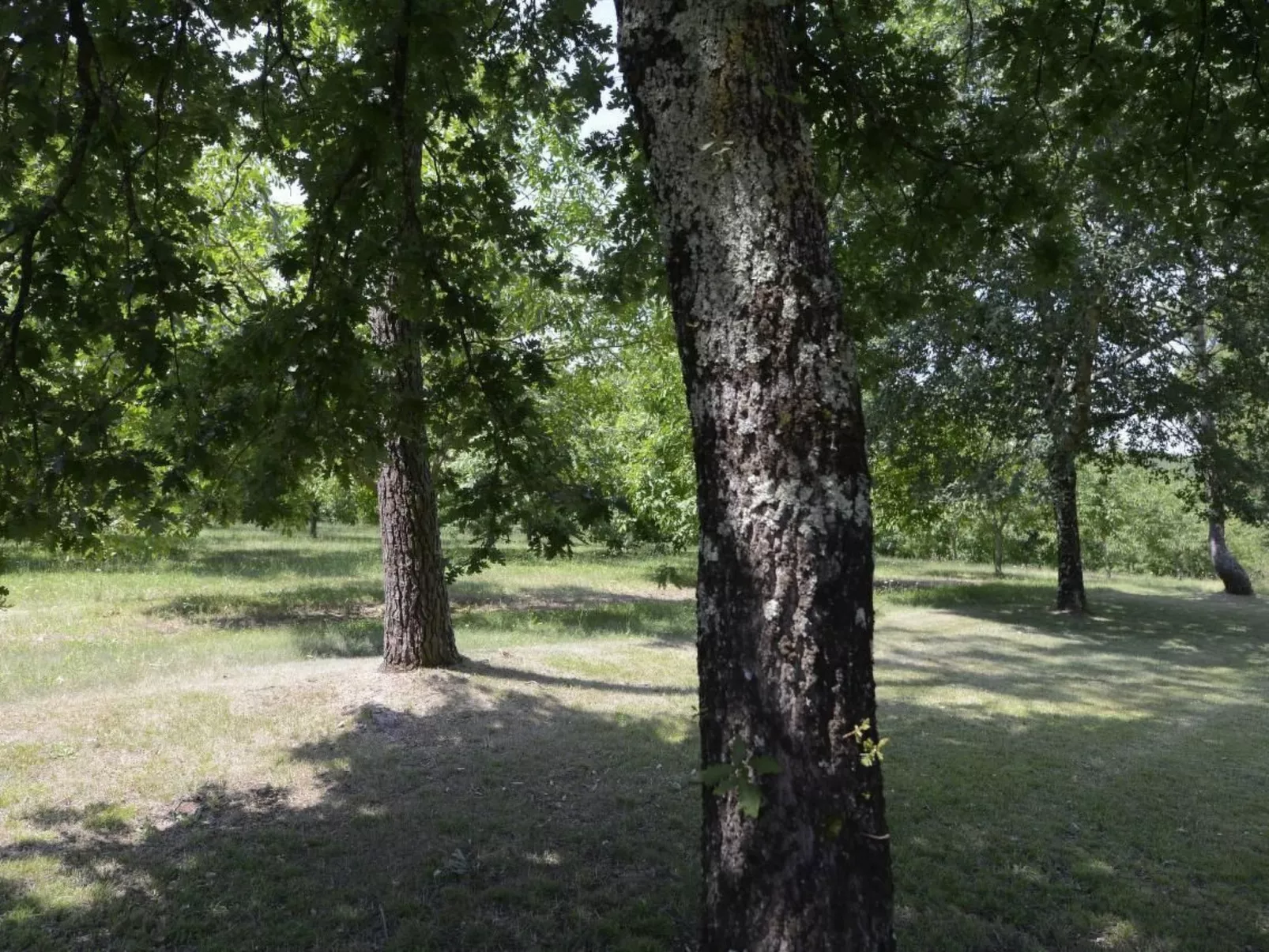 Villa DUXCAAR Beaum.-Draußen