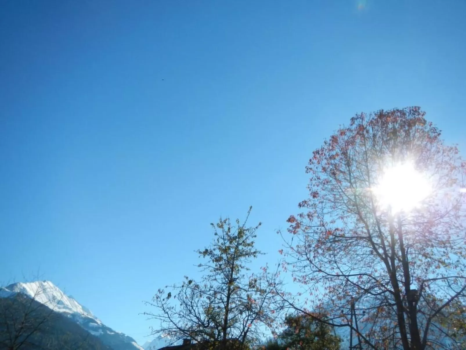 Auhäusl in Mittersill-Outside