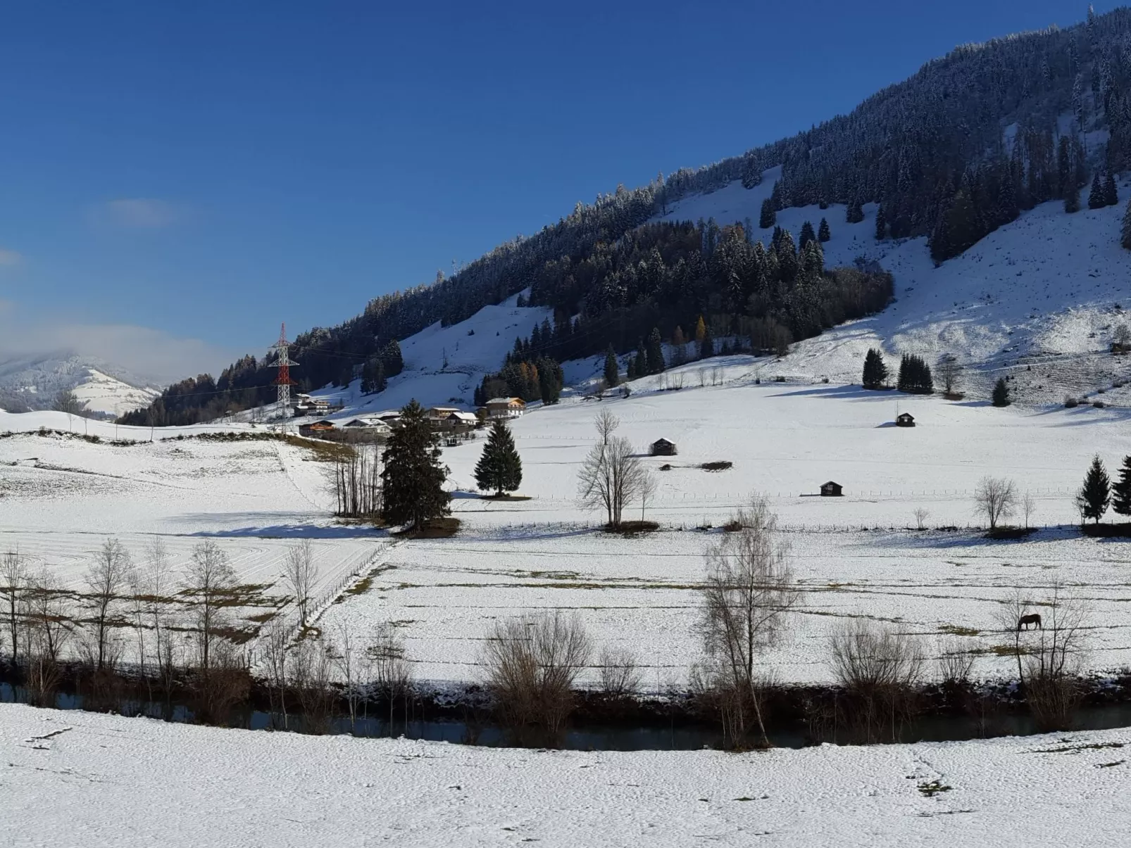 Geräumige Wohnung mit zwei Schlafzimmern und Balkon-Dehors
