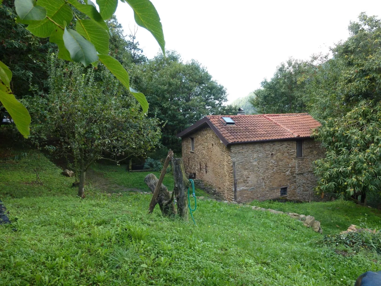 Mit Blick auf das Wasser-Dehors