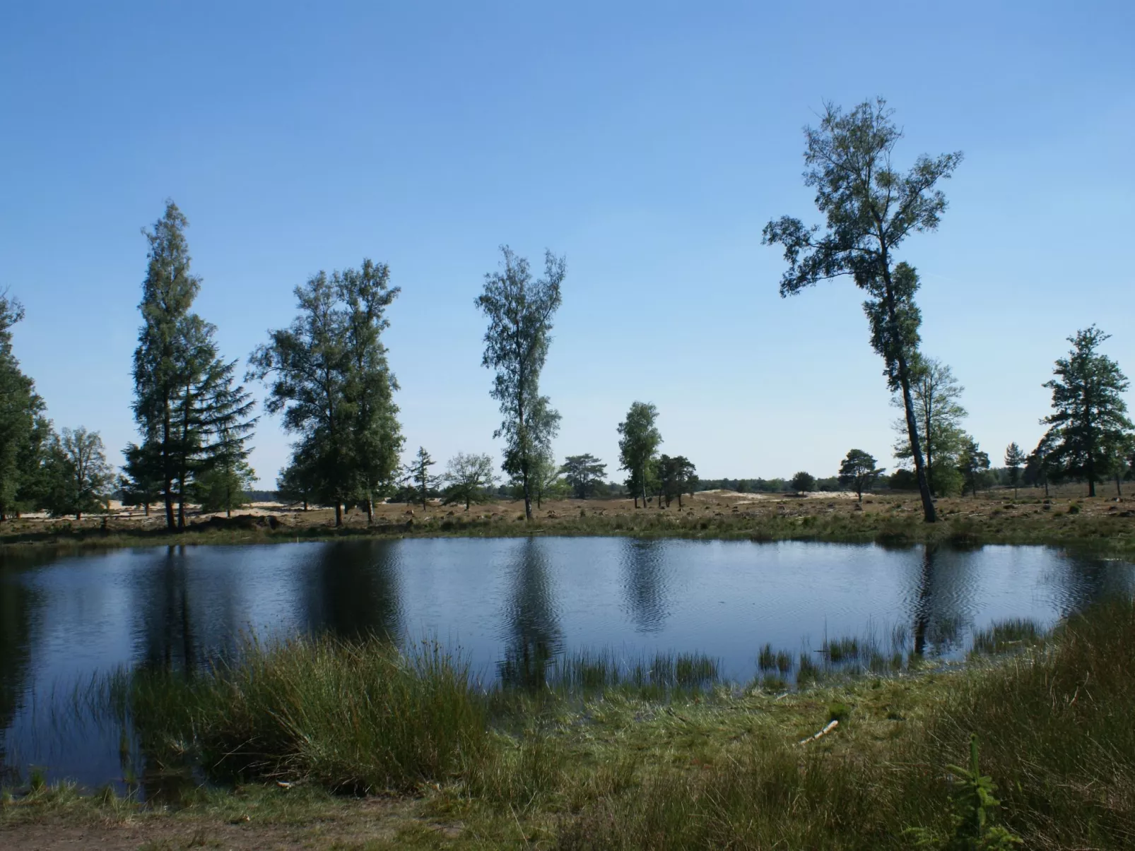 Geschmackvoll eingerichtetes Bauernhaus aus dem 19.-Dehors