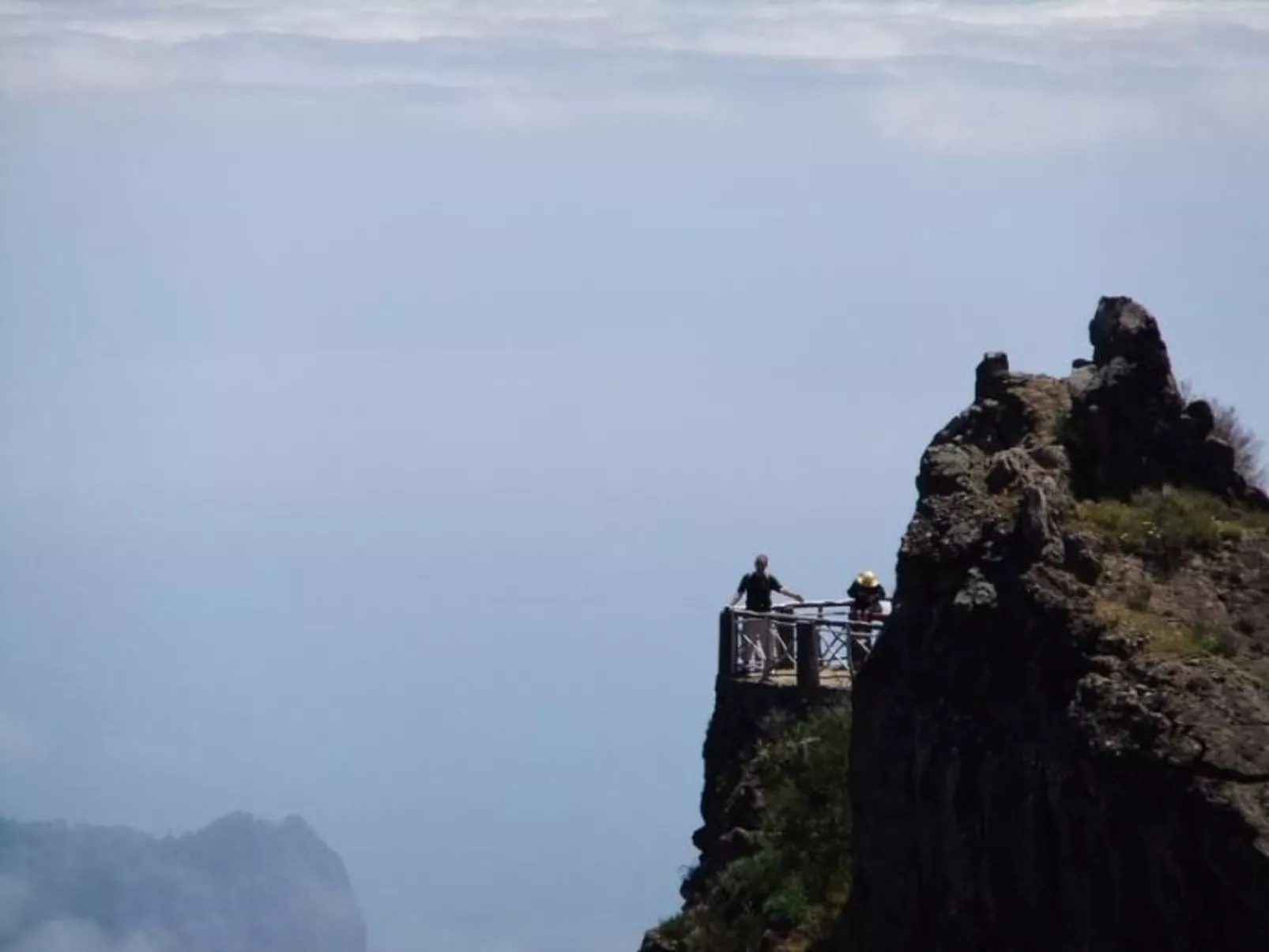 Seaview Refugium 633-Image-tags.info