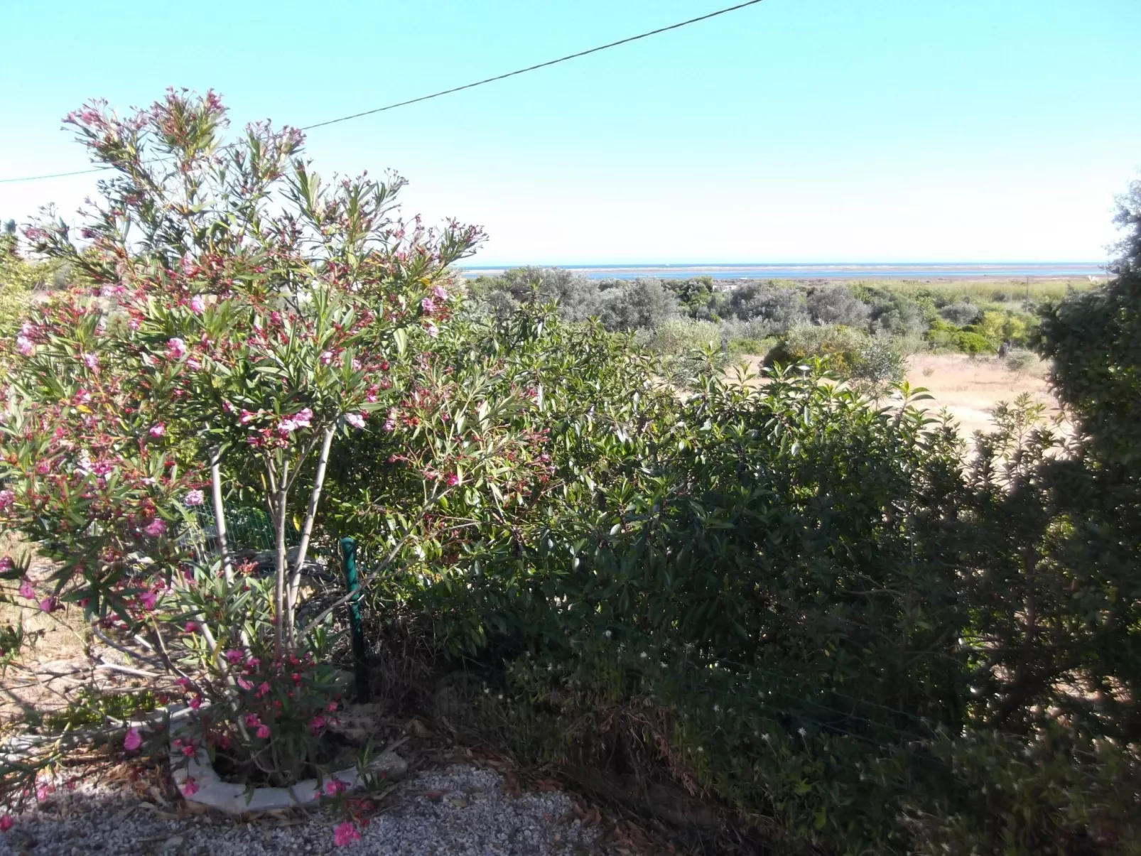 Casinha Lena-Image-tags.info