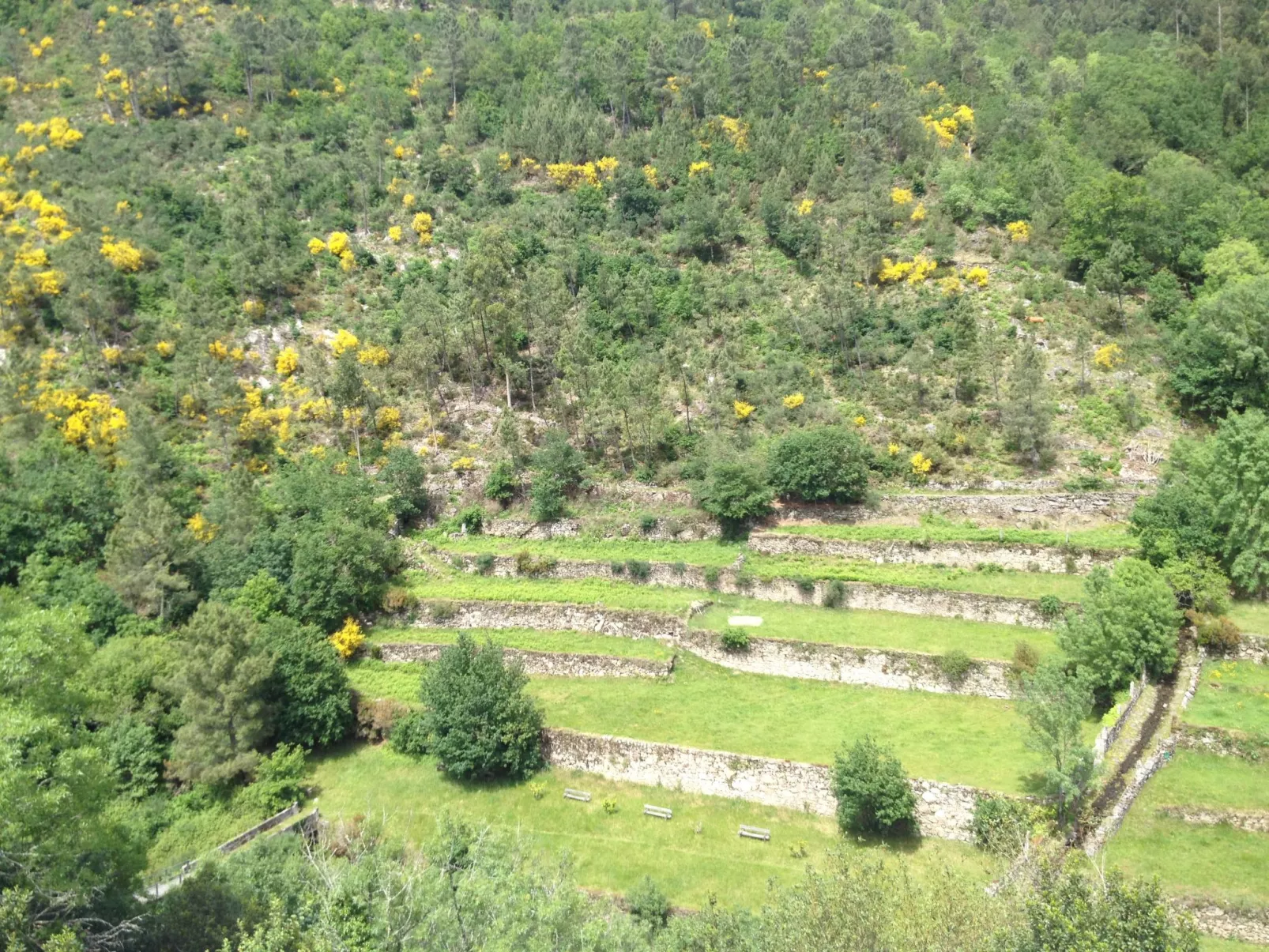"Großmutters Häuschen" mit überdachter Terrasse-Draußen