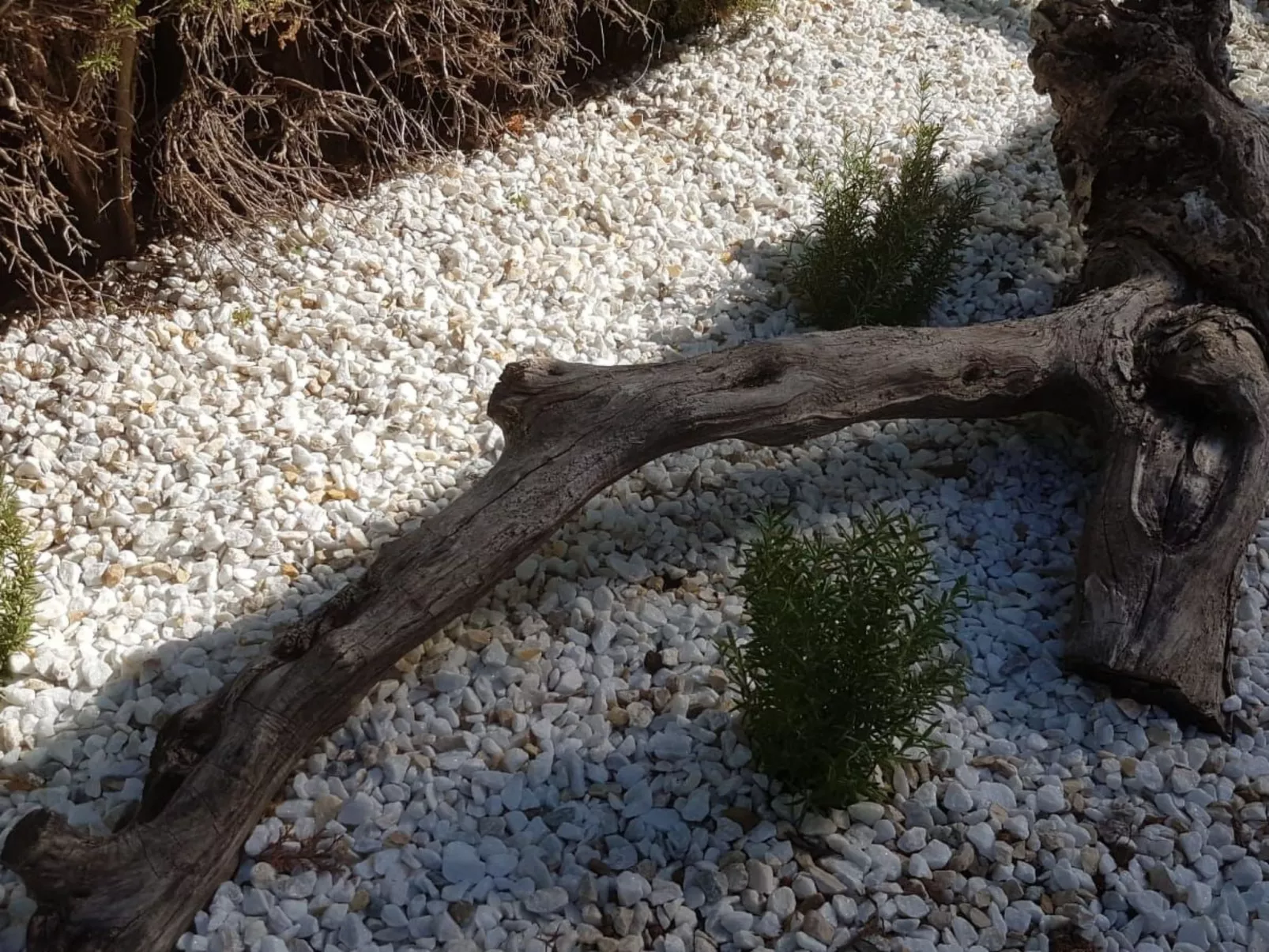 Casa Mila La Sella-Dehors