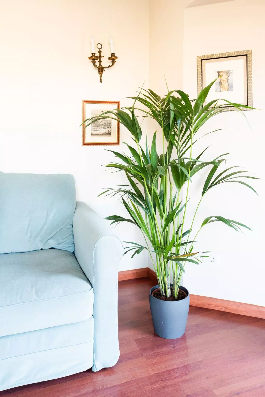 Wunderschöne Villa in einer einzigartigen natürlichen Umgebung-Inside