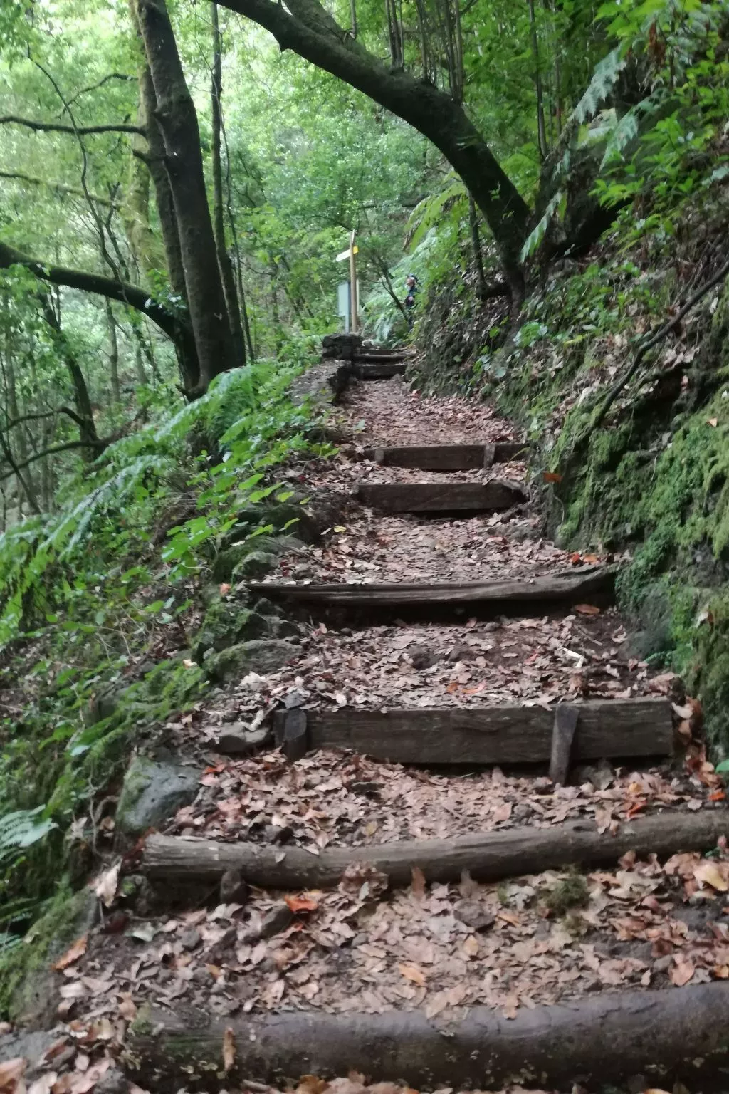 Haus La Majada-Dehors
