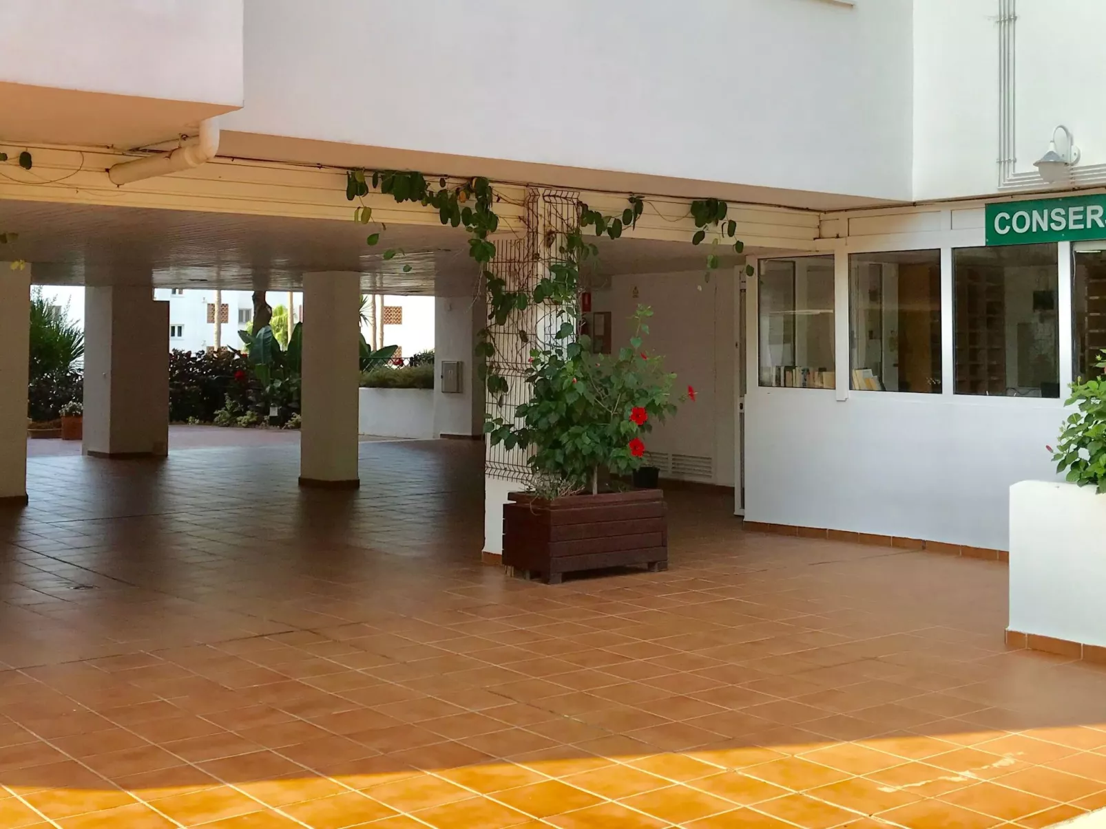 "Mi Capricho".-Outside