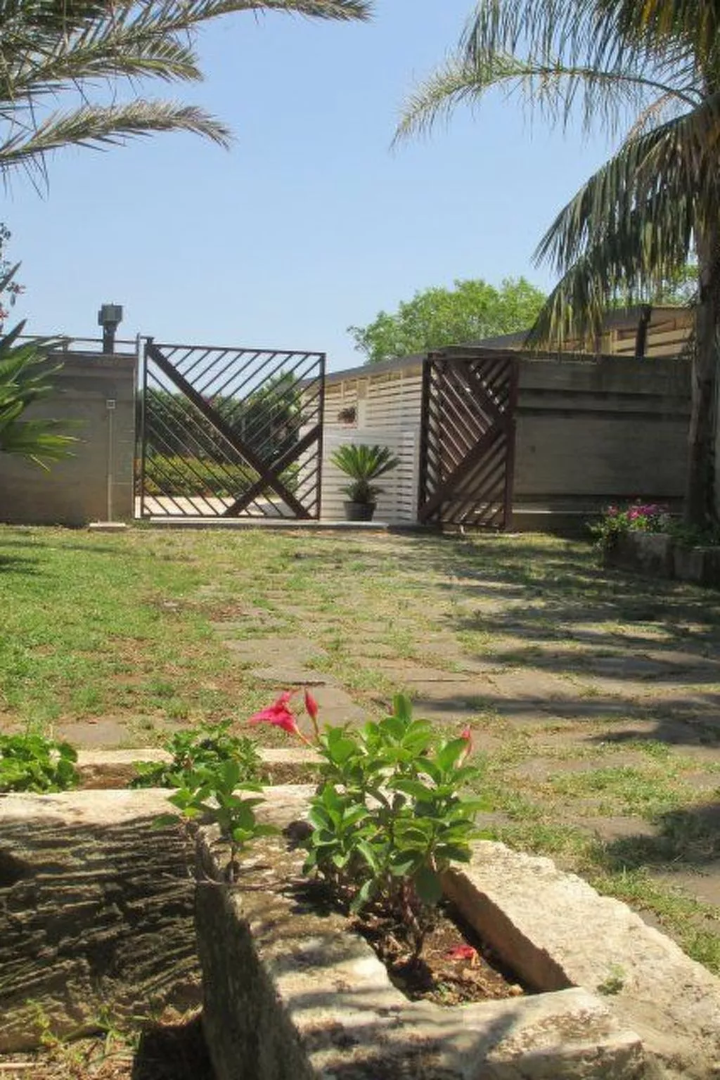 Cuore di Palme Bilo-Outside