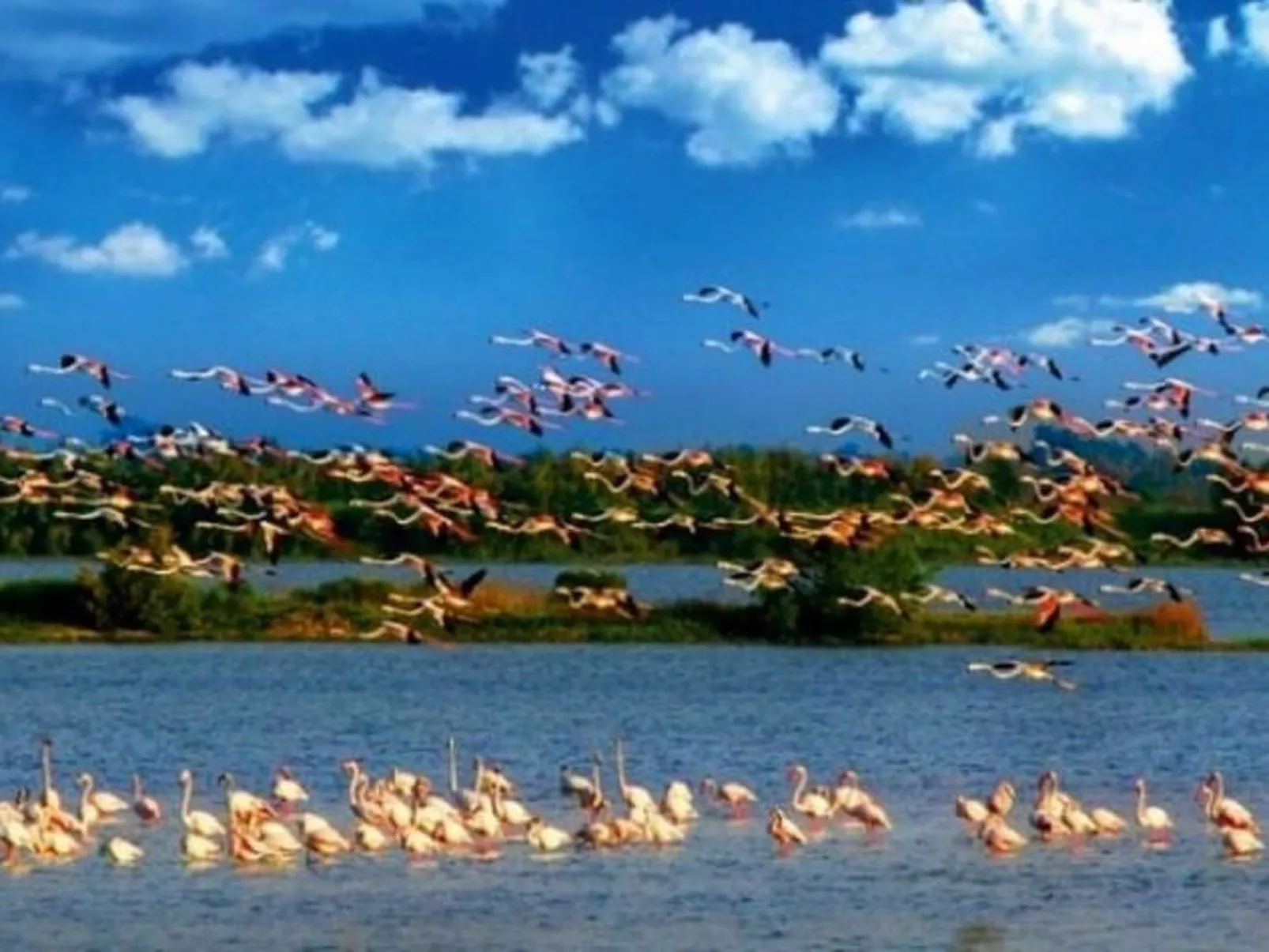 Villa mit Gemeinschaftspool zwischen Ferrara und Venezia-Outside
