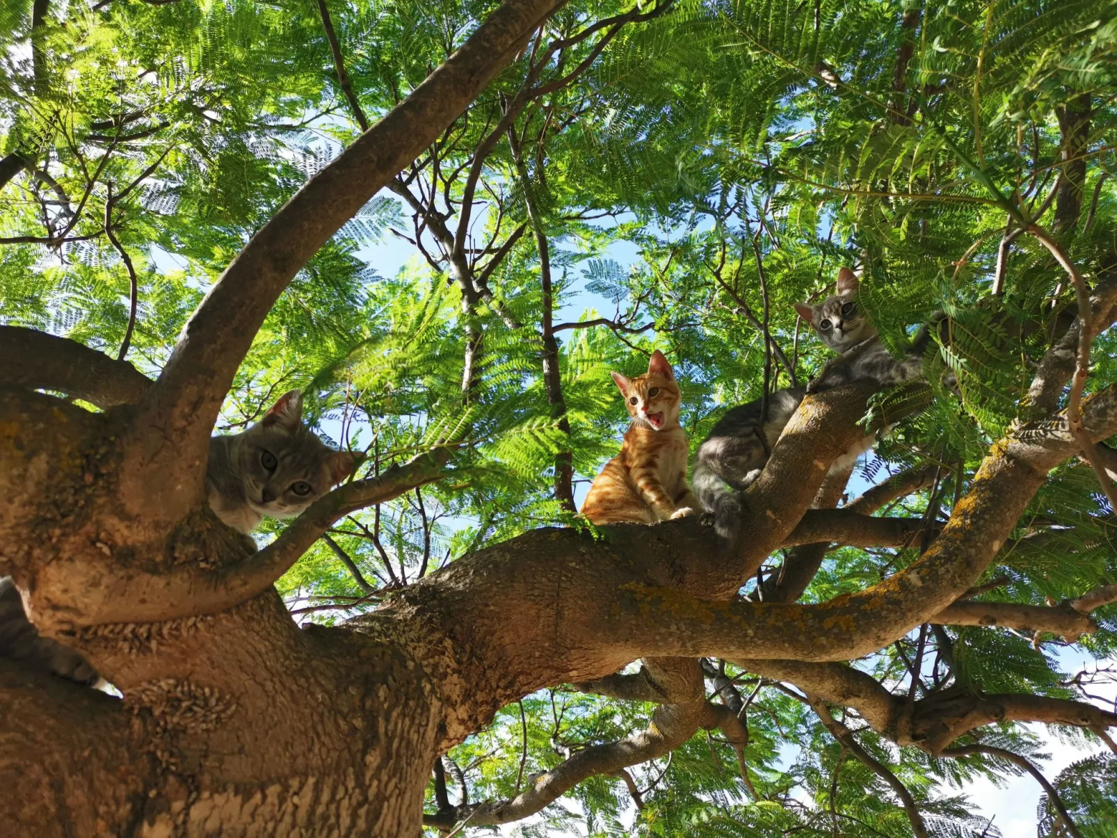 App 2 Studio-Wohnung 2 Plätze-Draußen