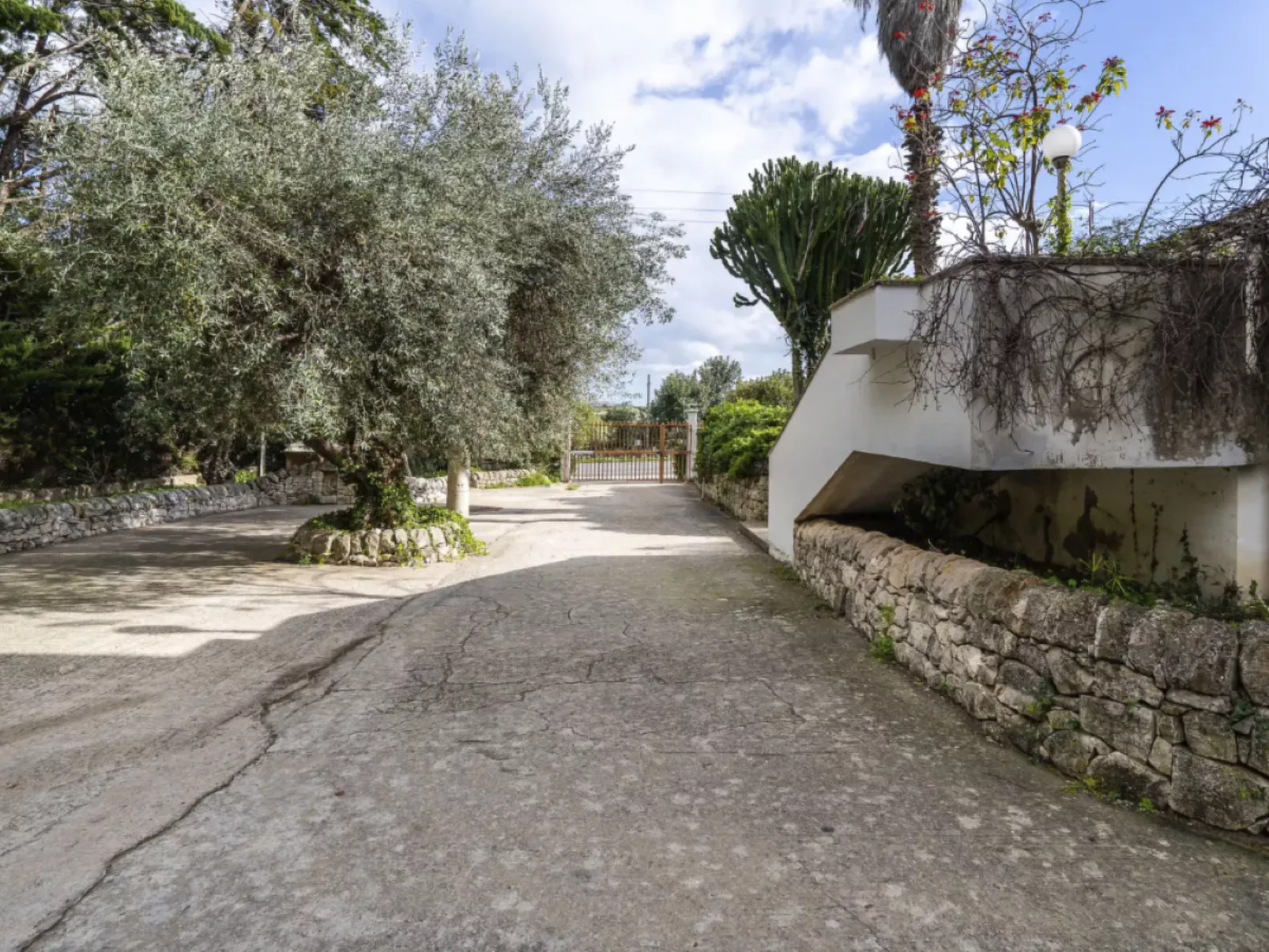 Zacchitella Gardenhouse-Image-tags.info