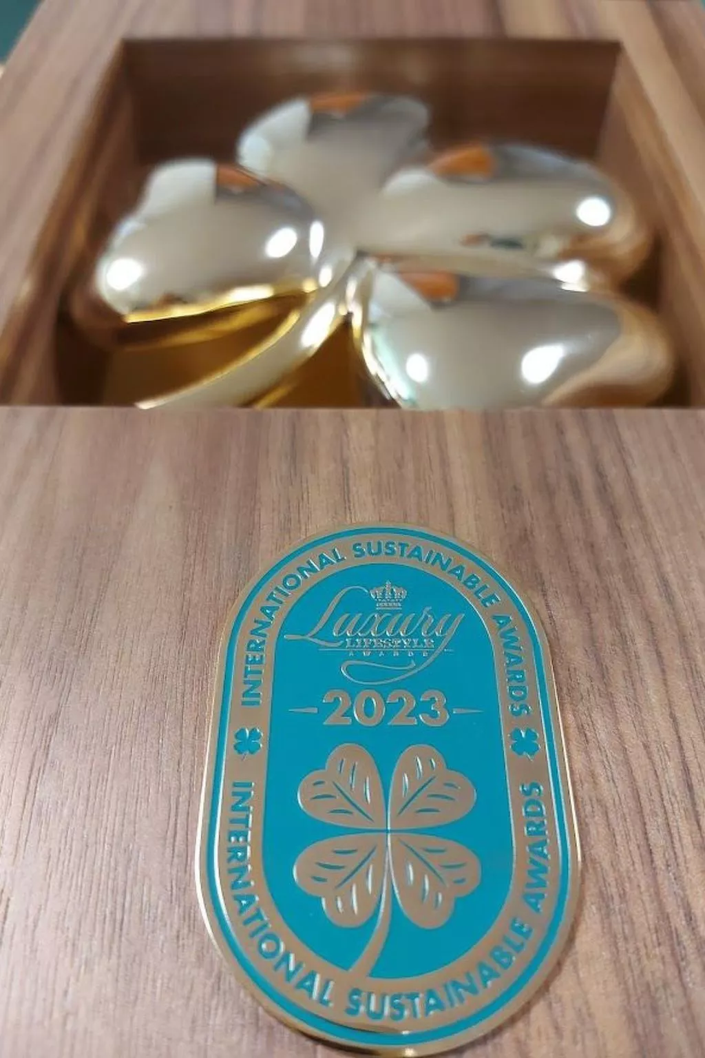 Mondmuscheln-Draußen