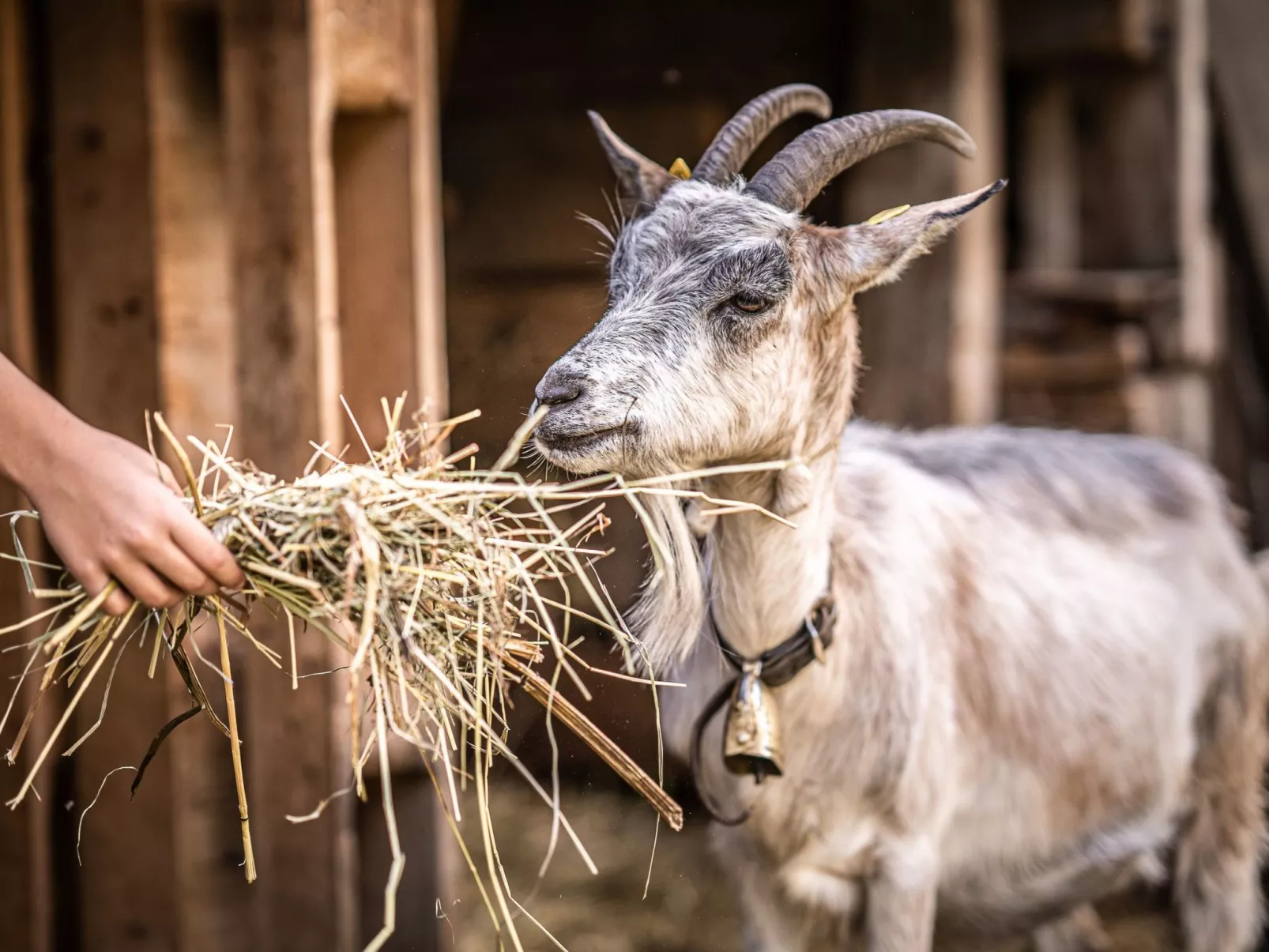 Bauernwohnung-Outside