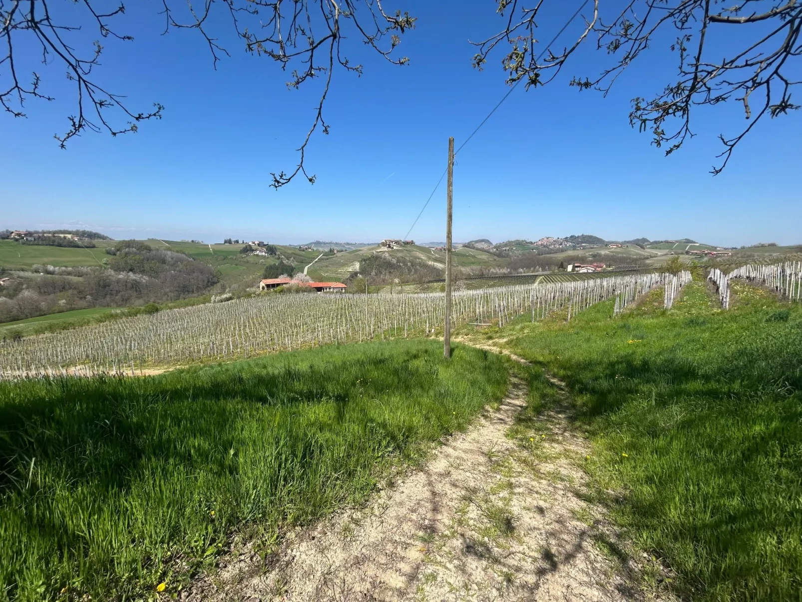 Casa il Cuore delle Langhe bei Holiday World-Draußen