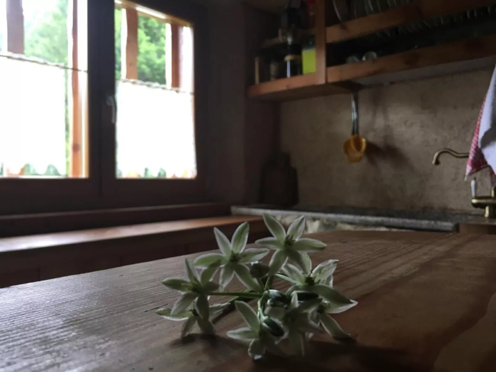 Mit Sauna in Pieve Di Bono-Inside