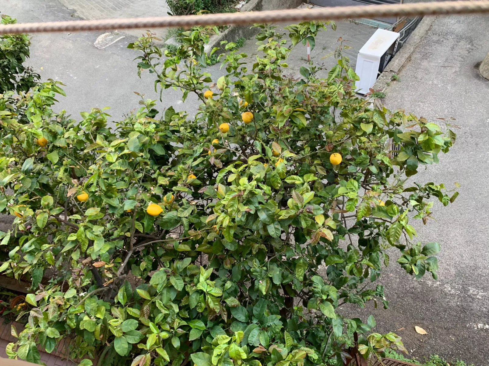 Wohnung 'Sonnenblume' mit Balkon-Outside