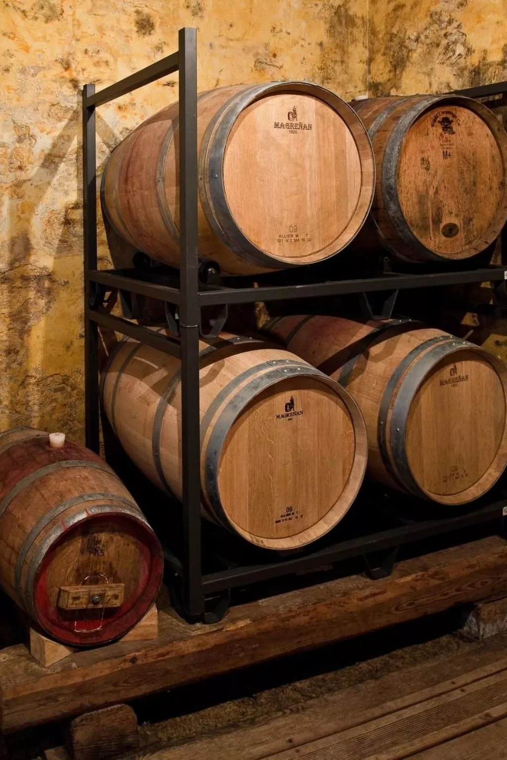 Grünes Appartement-Dehors