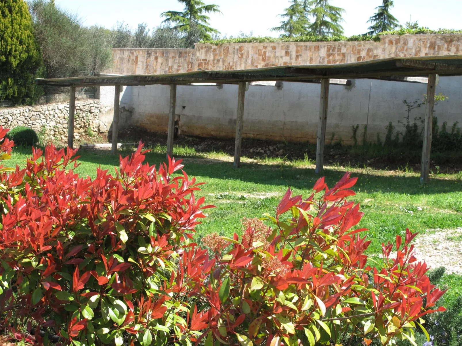 Neue fantastische Casa degli Ulivi privaten Pool-Draußen