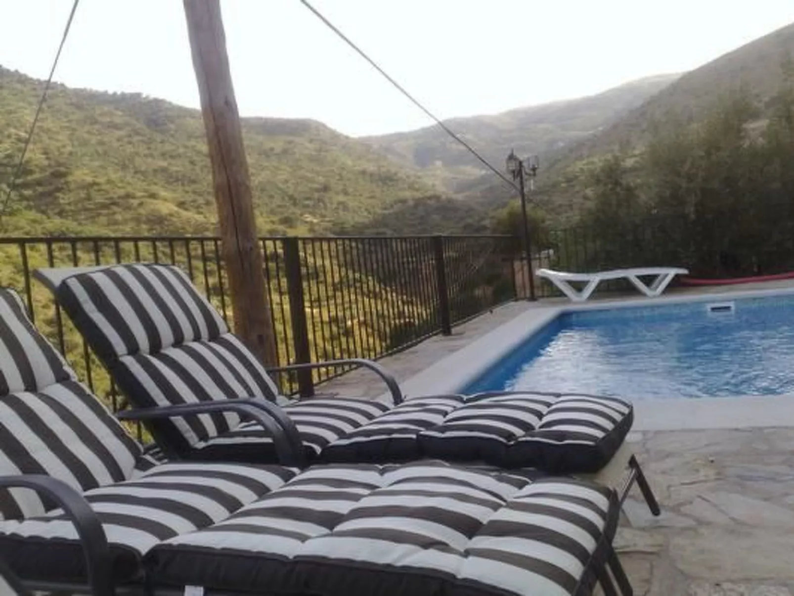 Tenguerengue-Image-tags.info