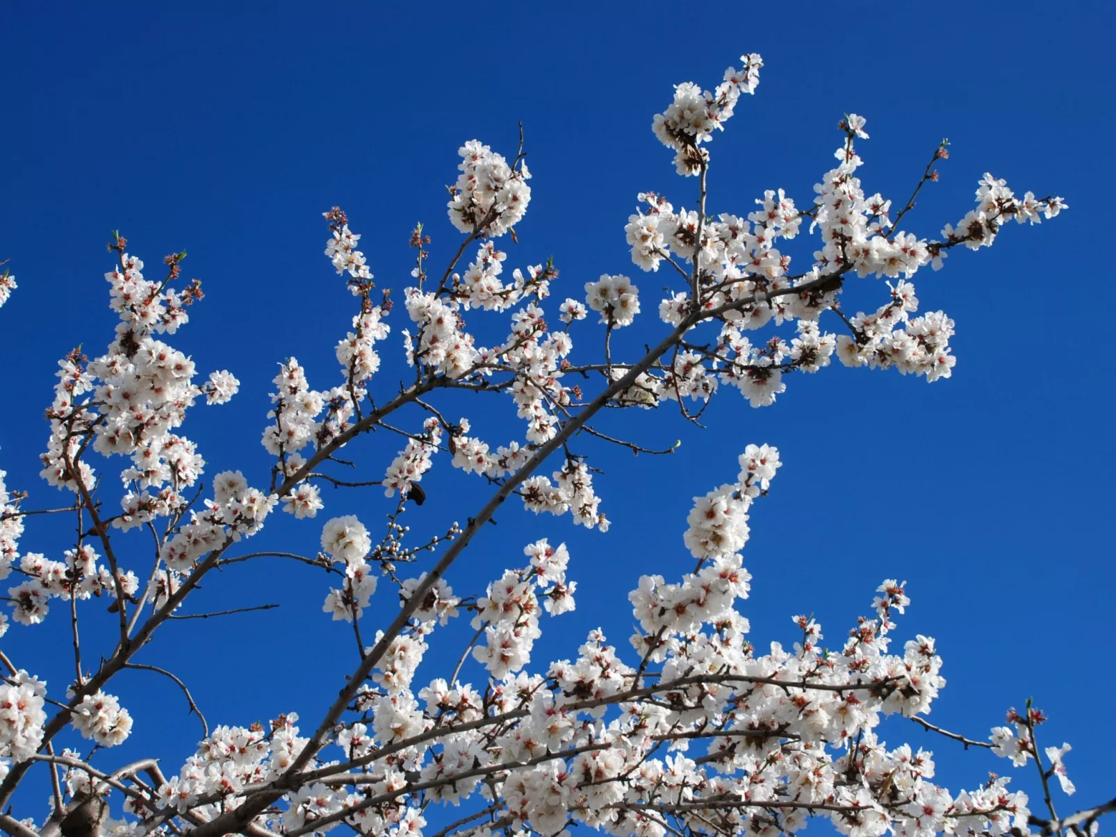 Schönes Landhaus mit Pool, Klimaanlage, Privatsphäre.-Outside