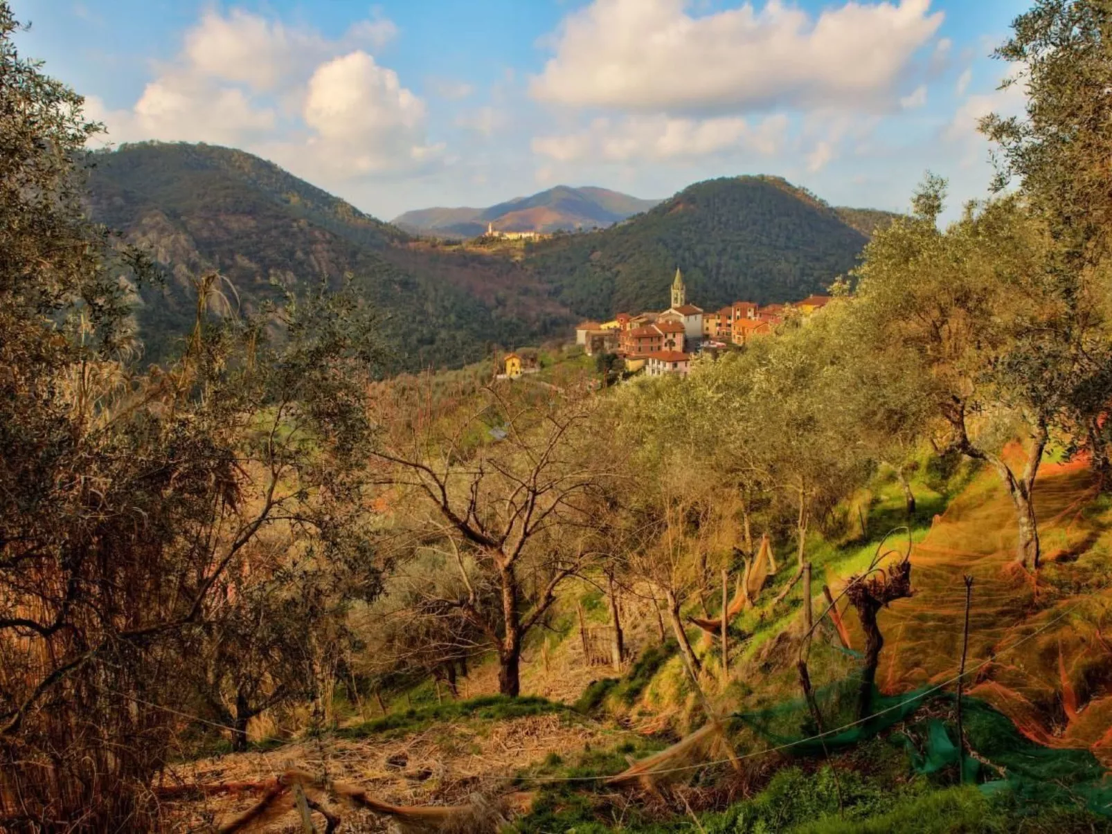 Wohnung in Velva mit Grill, Terrasse und Garten-Image-tags.info