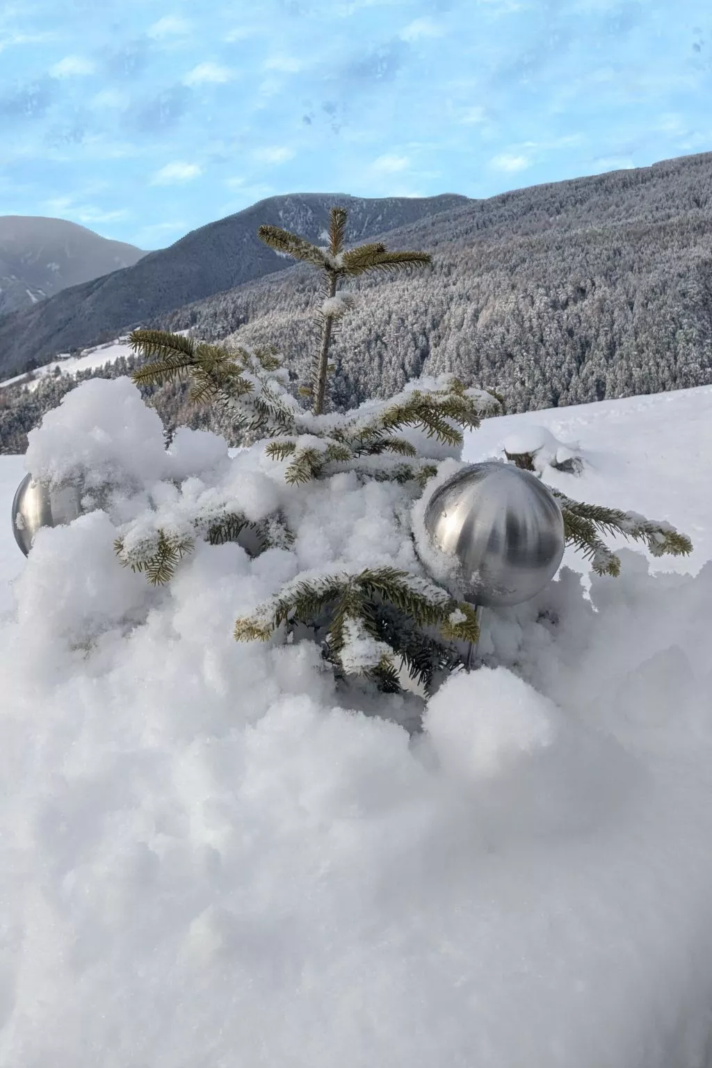 App. Haselstaude-Outside