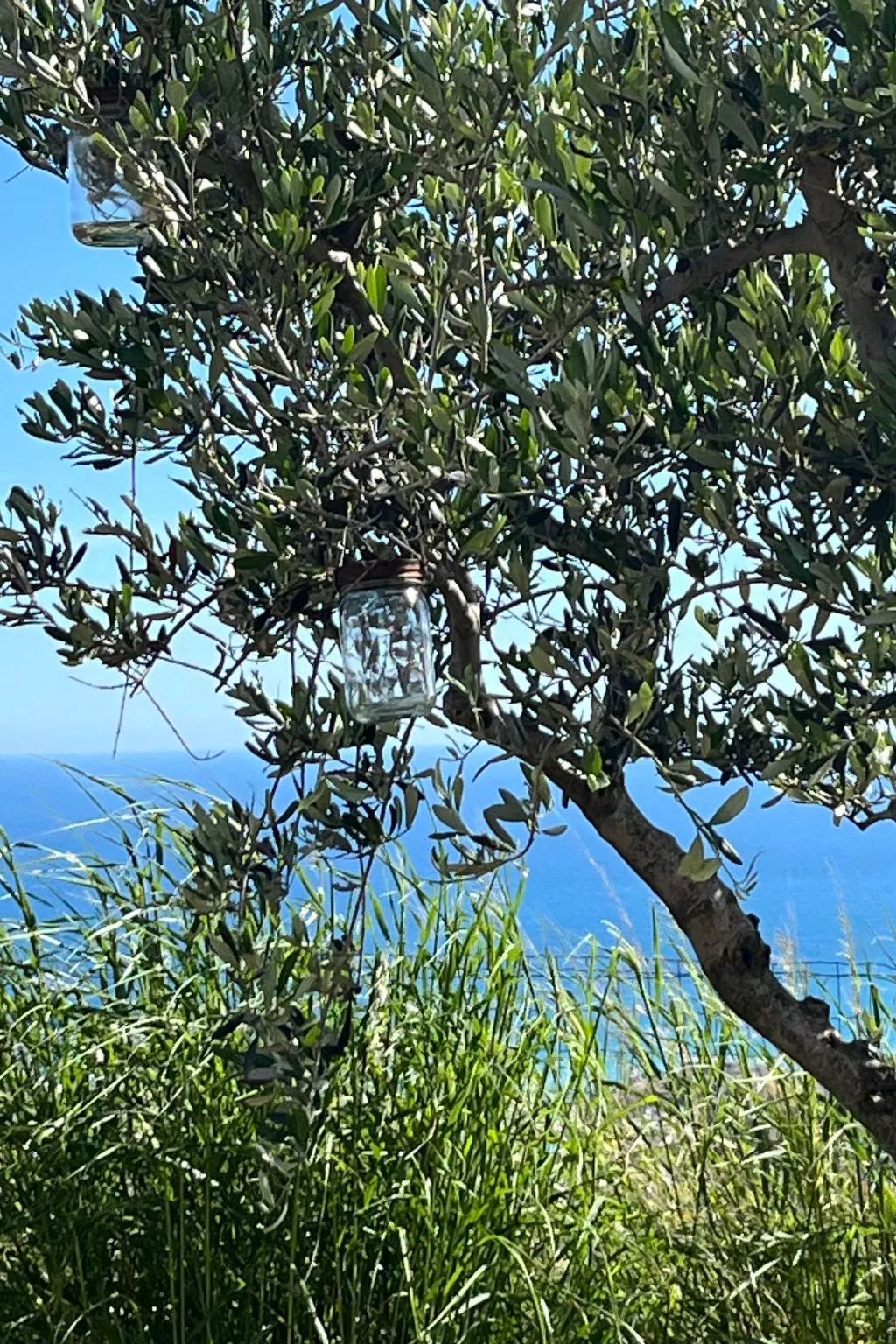 Bella Vista Poggi 180 Grad Fantastischer Meerblick-Draußen