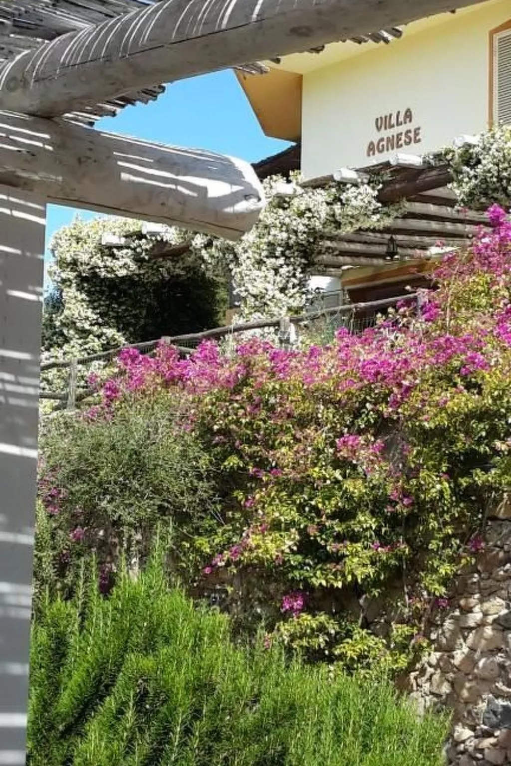 Agnese-Image-tags.info