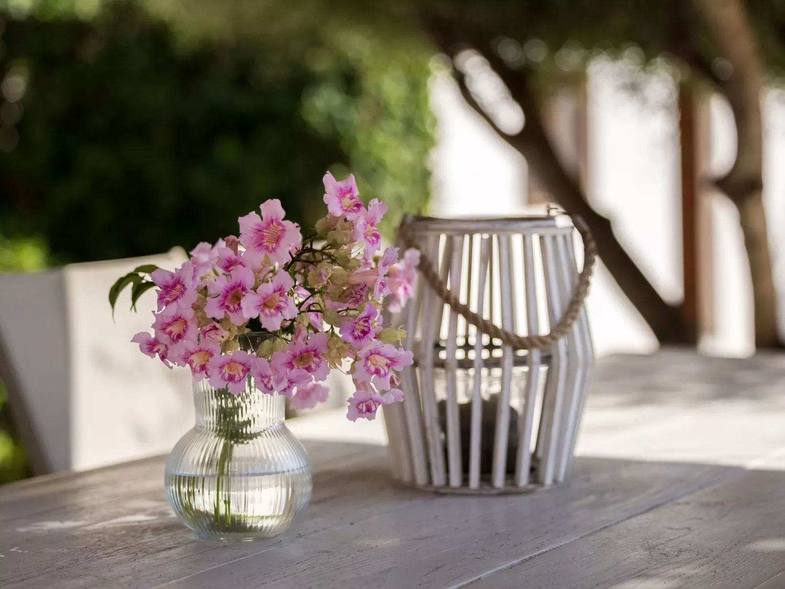 "Vista Molinos"-Image-tags.info