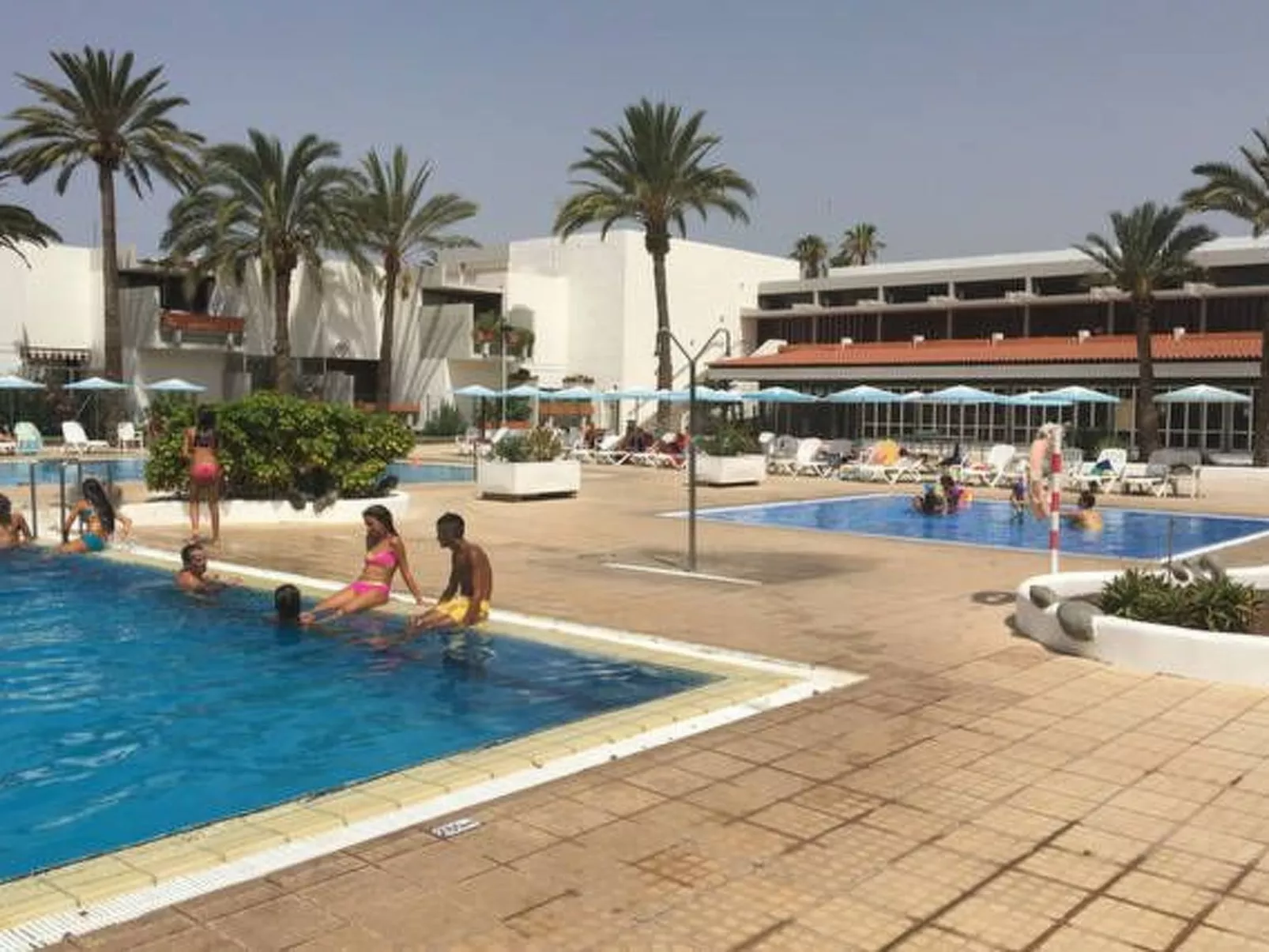 "Primavera-Image-tags.info