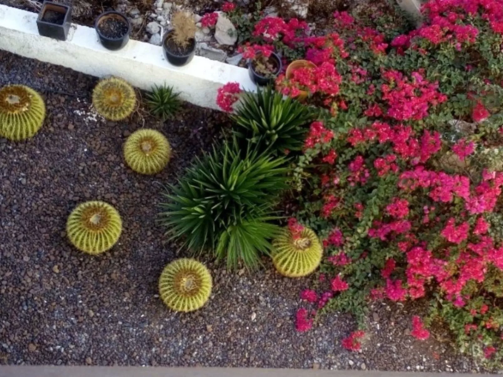 Luqillo-Image-tags.info