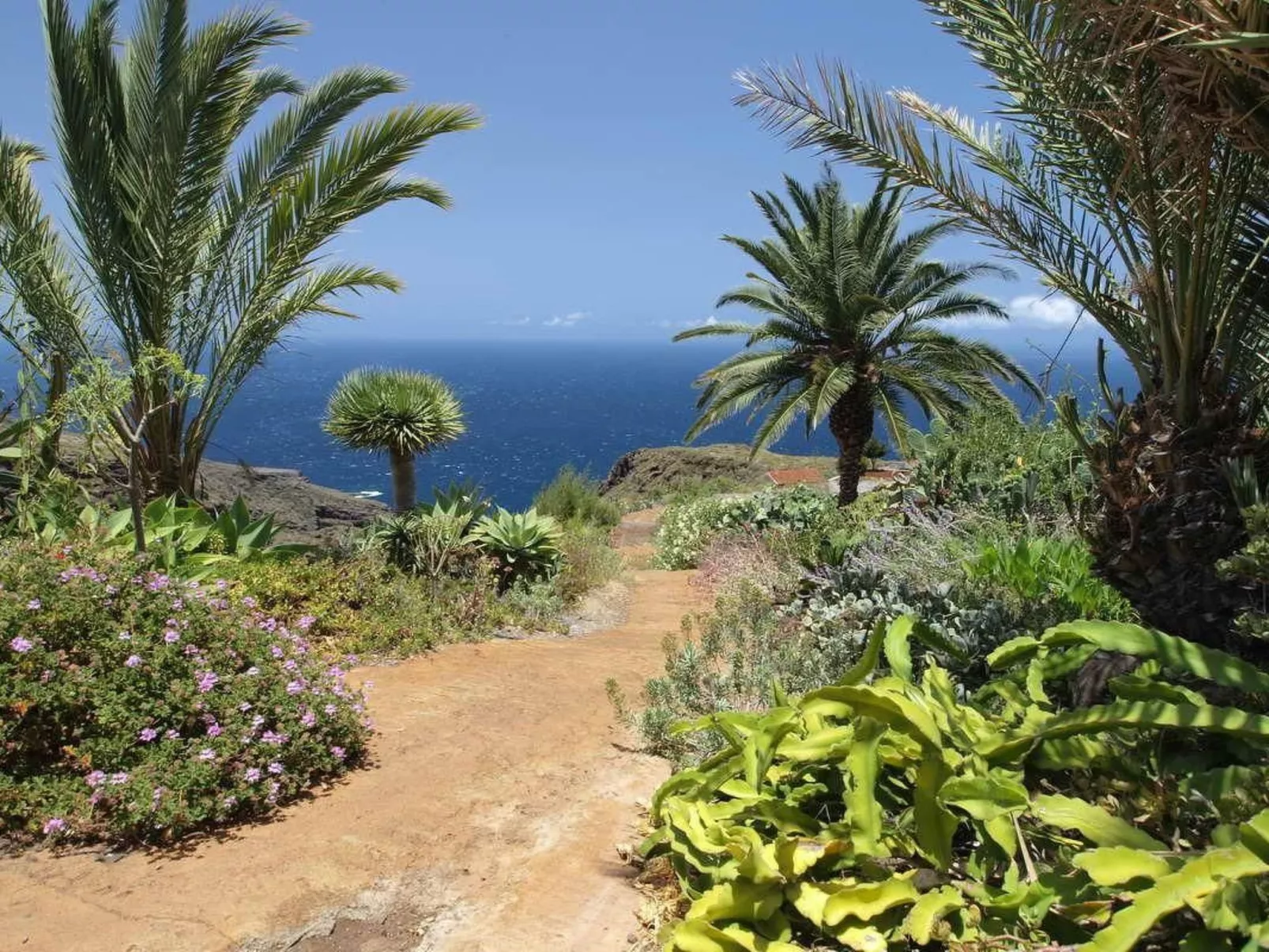 Bio Finca Los Hondos-Outside