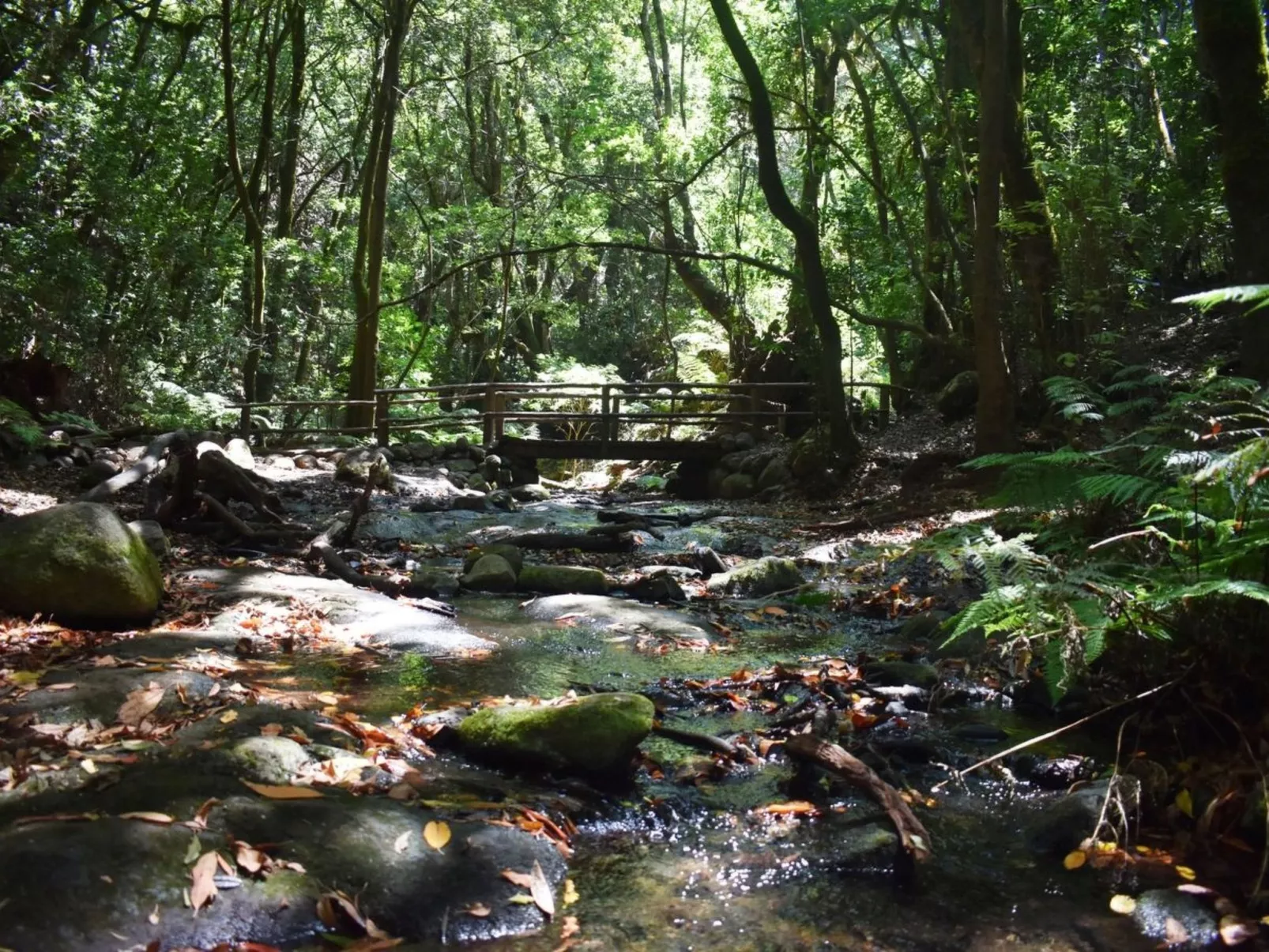 Freistehendes Ferienhaus La Maleza in La Palmita-Dehors