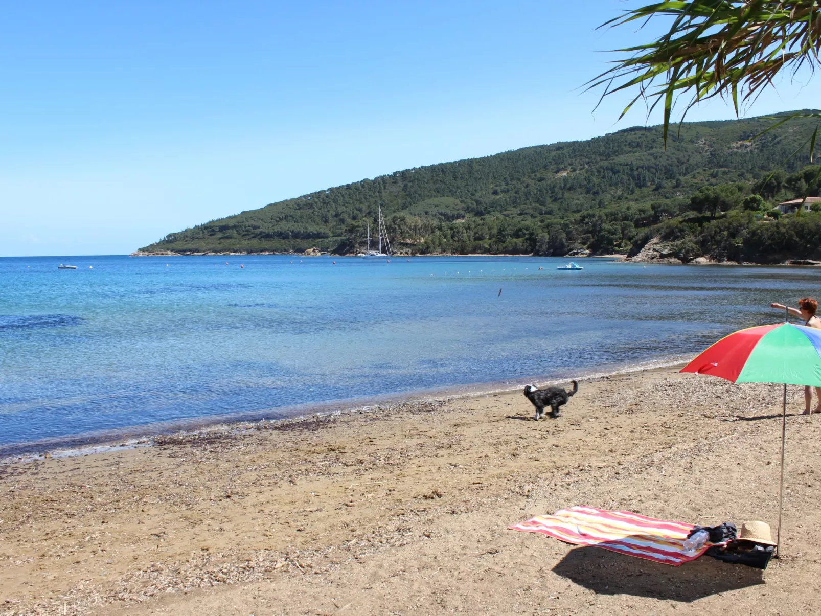 Wohnung 'Calamita2' mit Privatparkplatz-Image-tags.info