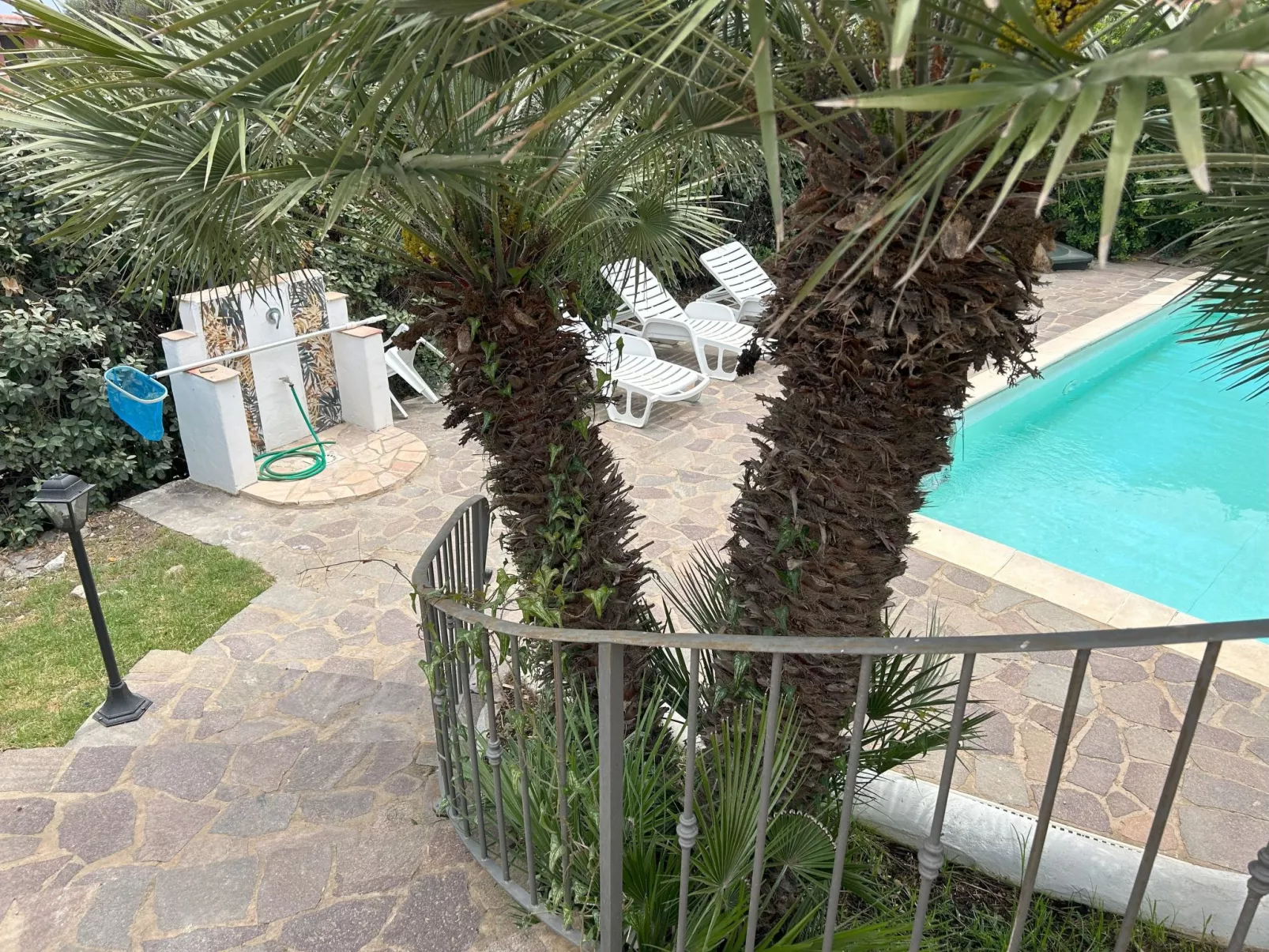 Villa Camilla-Image-tags.info