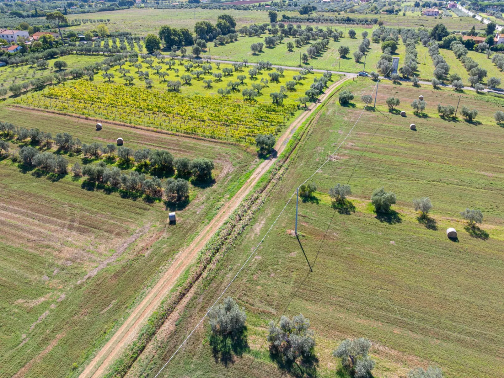 Casa Milla - Drei-Zimmer-Wohnung Fasan - Draußen