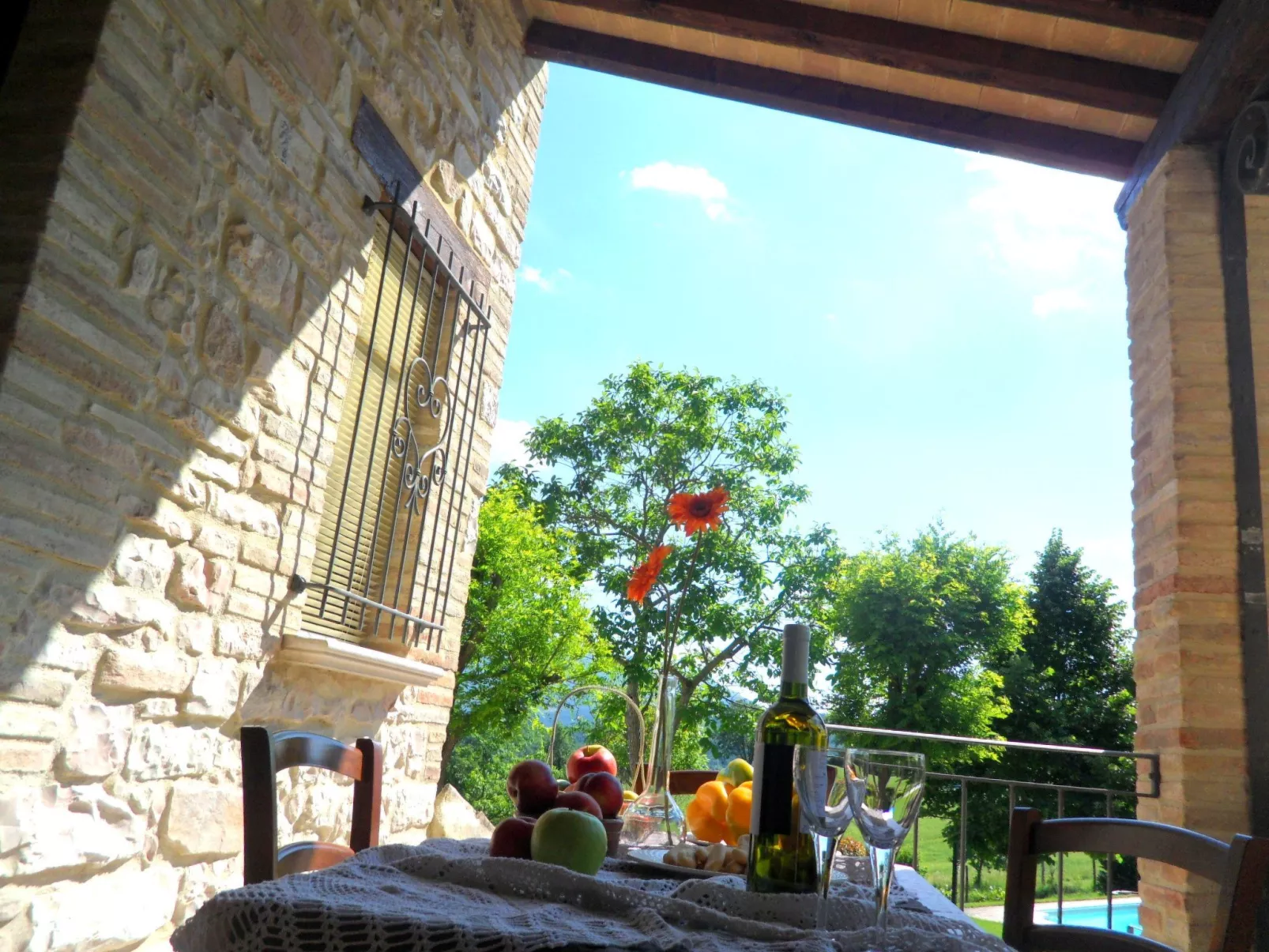 Girasoli in Cagli-Dehors