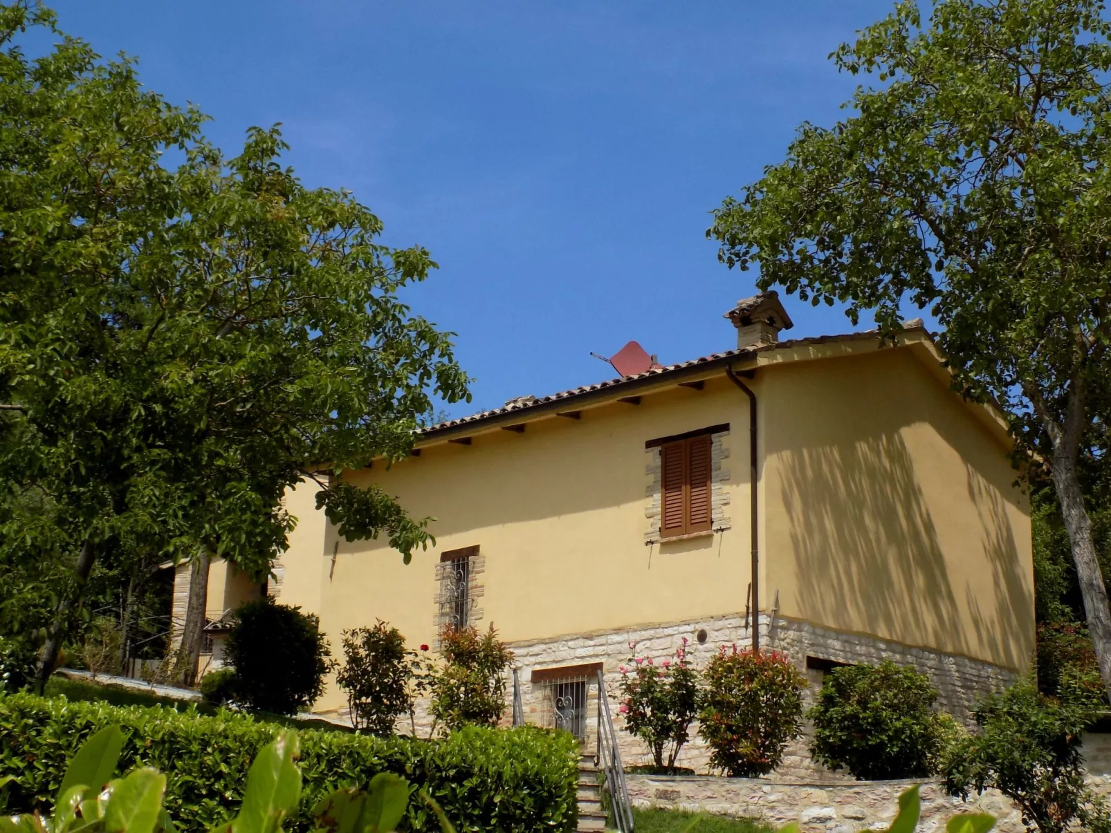 Flacher Flieder-Draußen