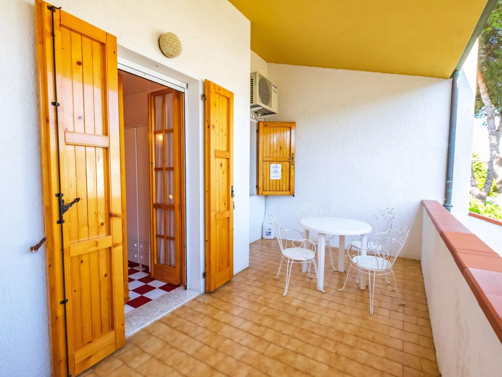 MANGROVIE 2-Image-tags.info