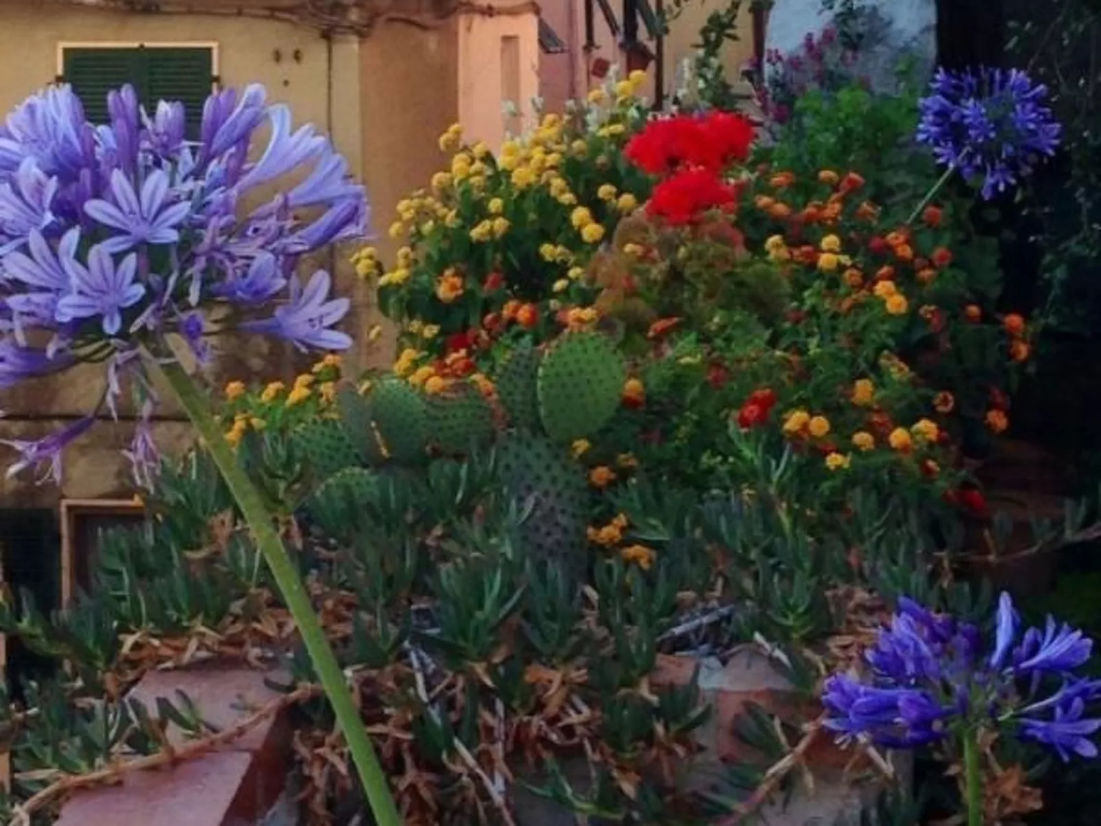 Mit Wasserblick-Outside