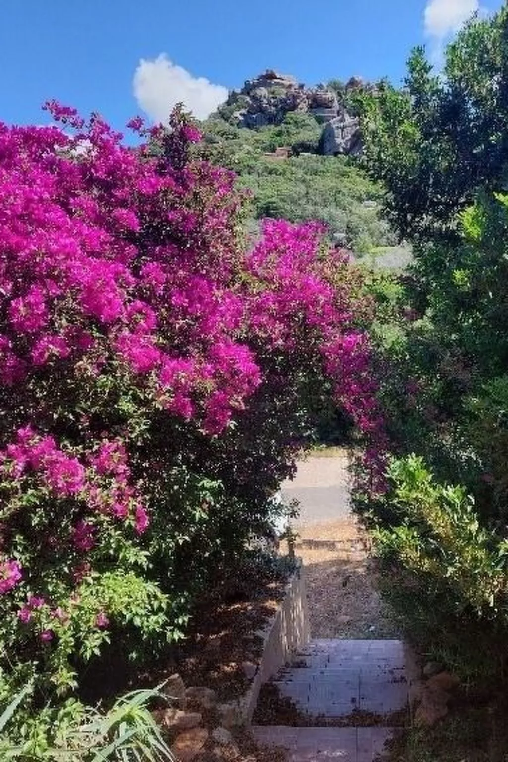 Terrazza Paradiso-Image-tags.info