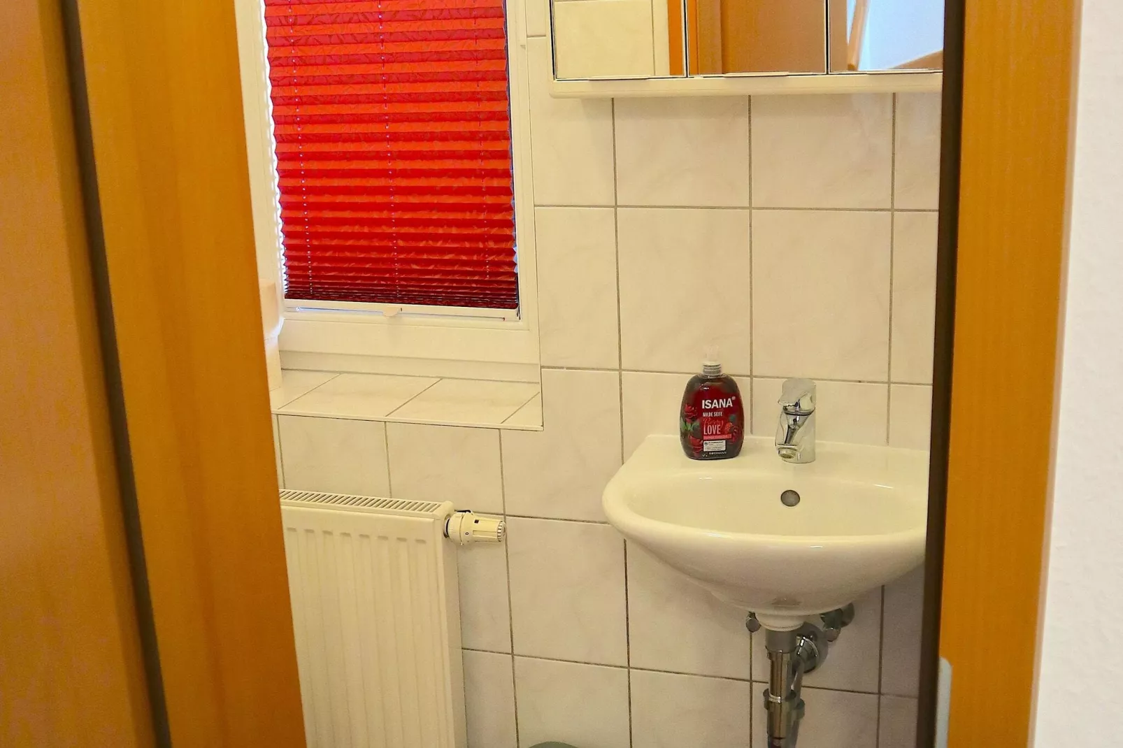 Schönes Ferienhaus in Alt Bukow-Bathroom