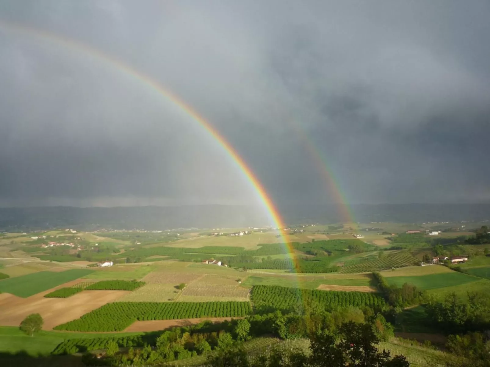 Wohnung in Verduno mit Garten-Draußen
